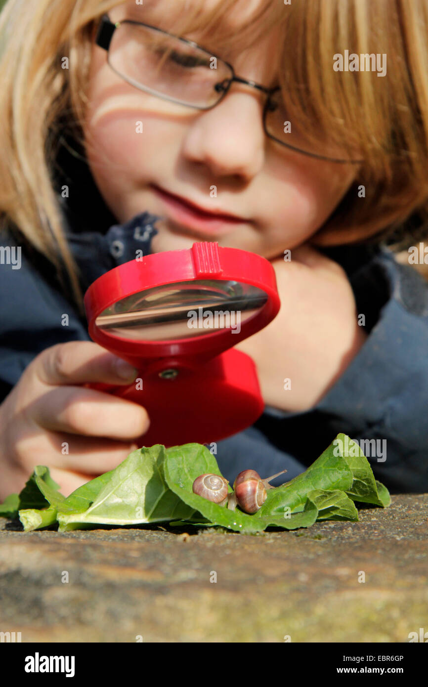 kleiner Junge mit einem Vergrößerungsglas Schnecken mit einem Schneckenhaus, Deutschland, Nordrhein-Westfalen Stockfoto