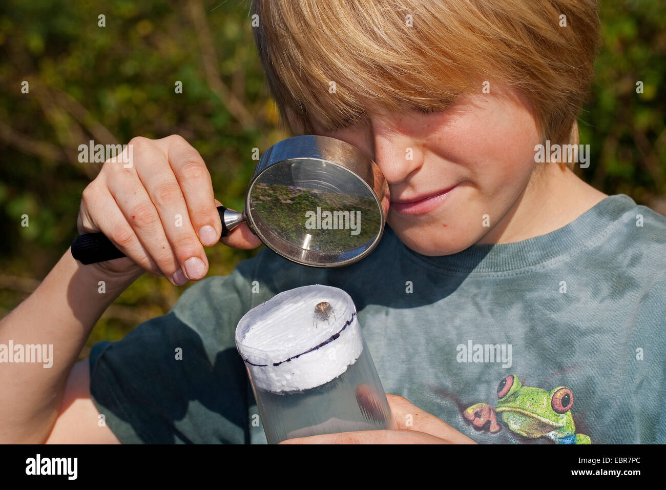 Junge immer ein wachsames Auge auf Spinne, Deutschland Stockfoto