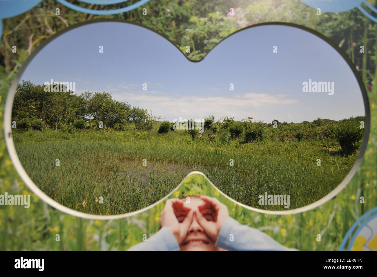 Blick durch ein Hinweisschild in Form von Fernglas, Polderlandschaft, Niederlande, Zeeland Stockfoto