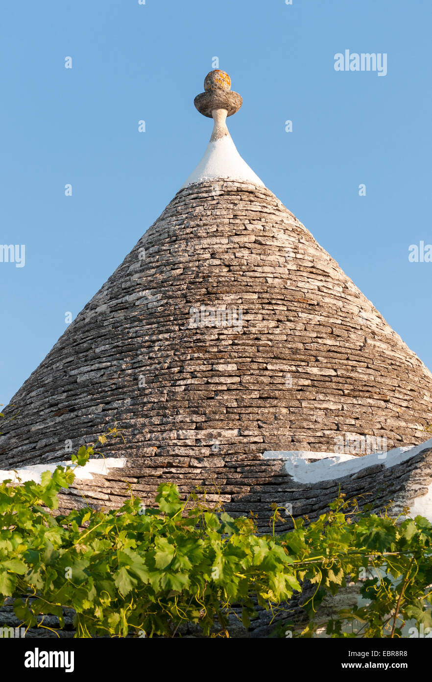 Nahaufnahme von Kegeldach Trullo, Alberobello Trulli Bezirk, Apulien, Italien Stockfoto