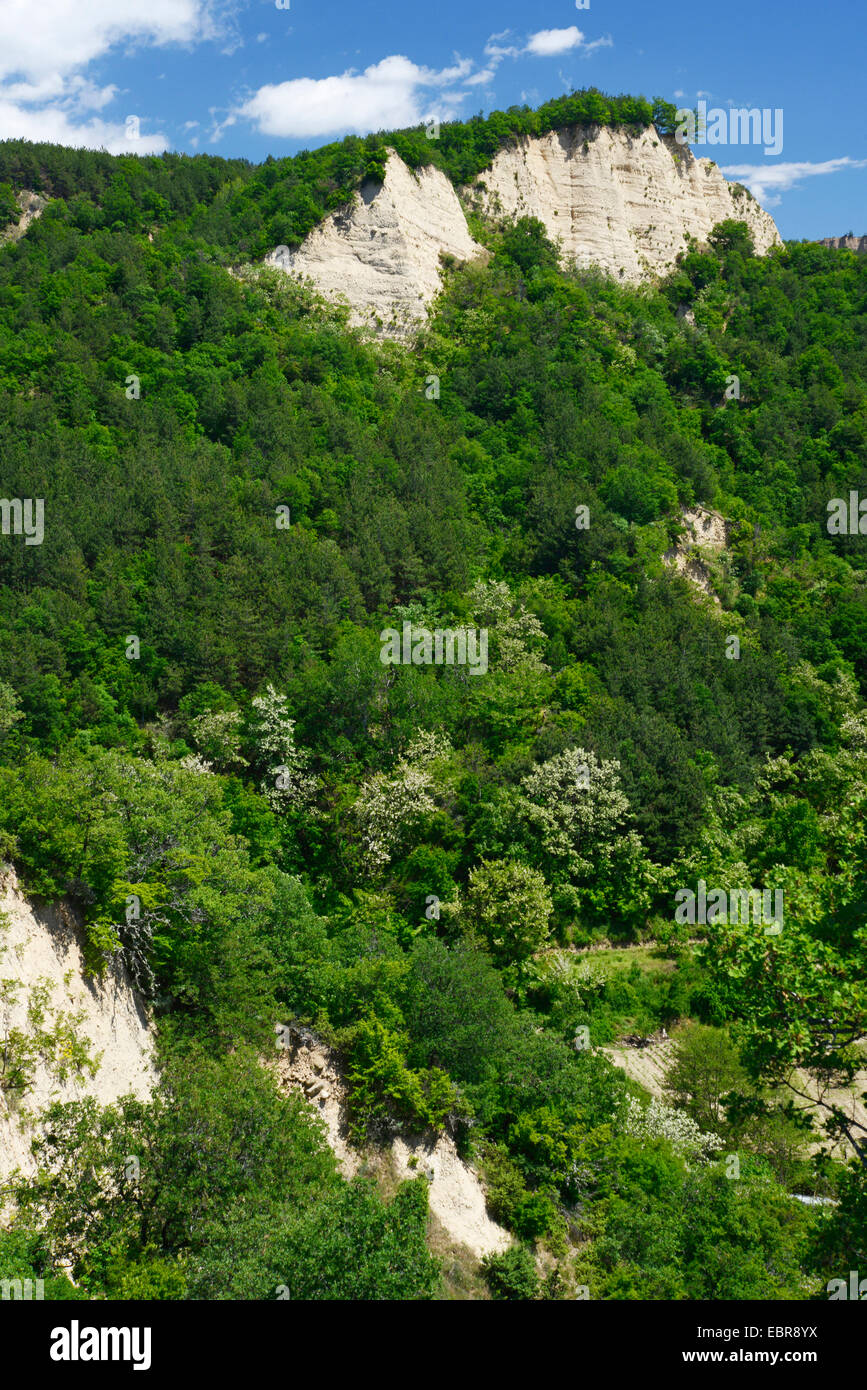 Sandstein-Pyramiden von Melnik, Bulgarien Melnik Stockfoto