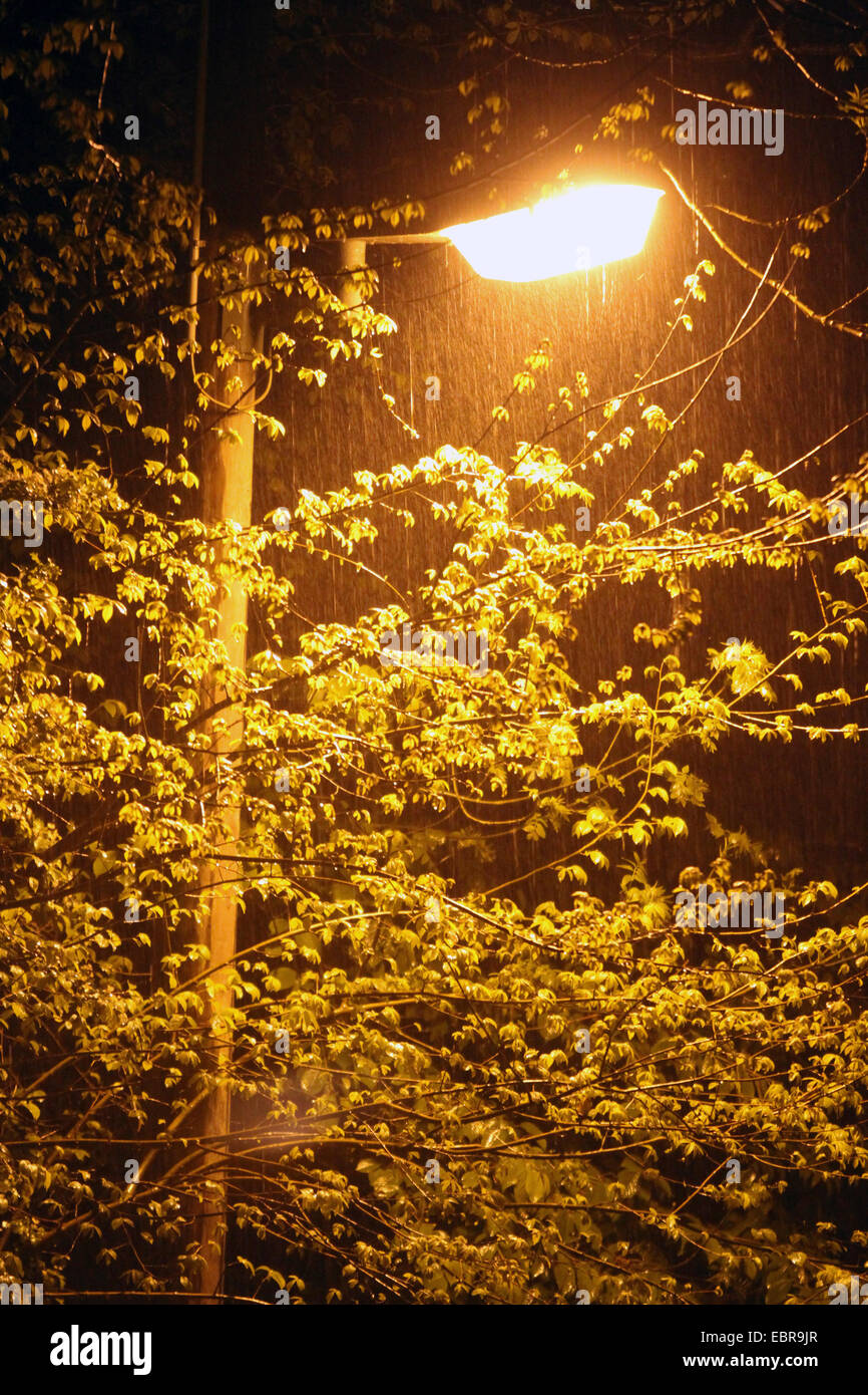 beleuchtete Straße Licht im strömenden Regen, Deutschland Stockfoto