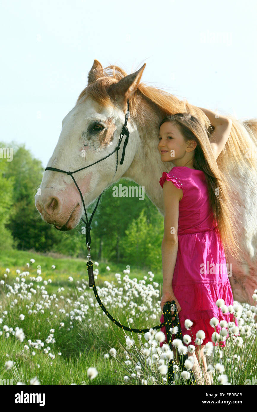 Criollo Pferd (Equus Przewalskii F. Caballus), junges Mädchen knutschen ein Pferd im hohen Grass, Deutschland Stockfoto