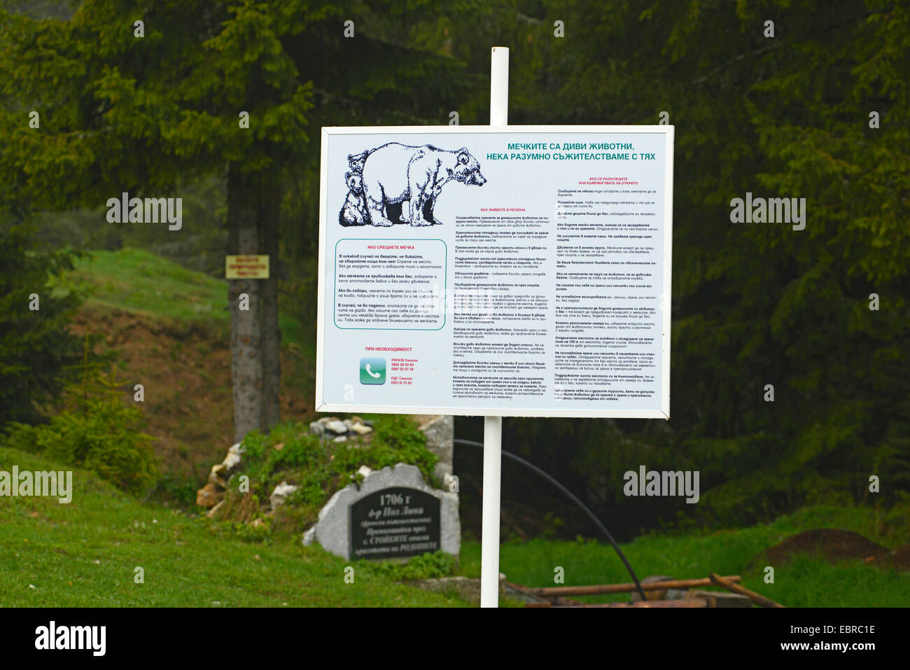 Braunbär (Ursus Arctos), tragen Warnzeichen vor einem Grab, Bulgarien, Rhodopen Stockfoto