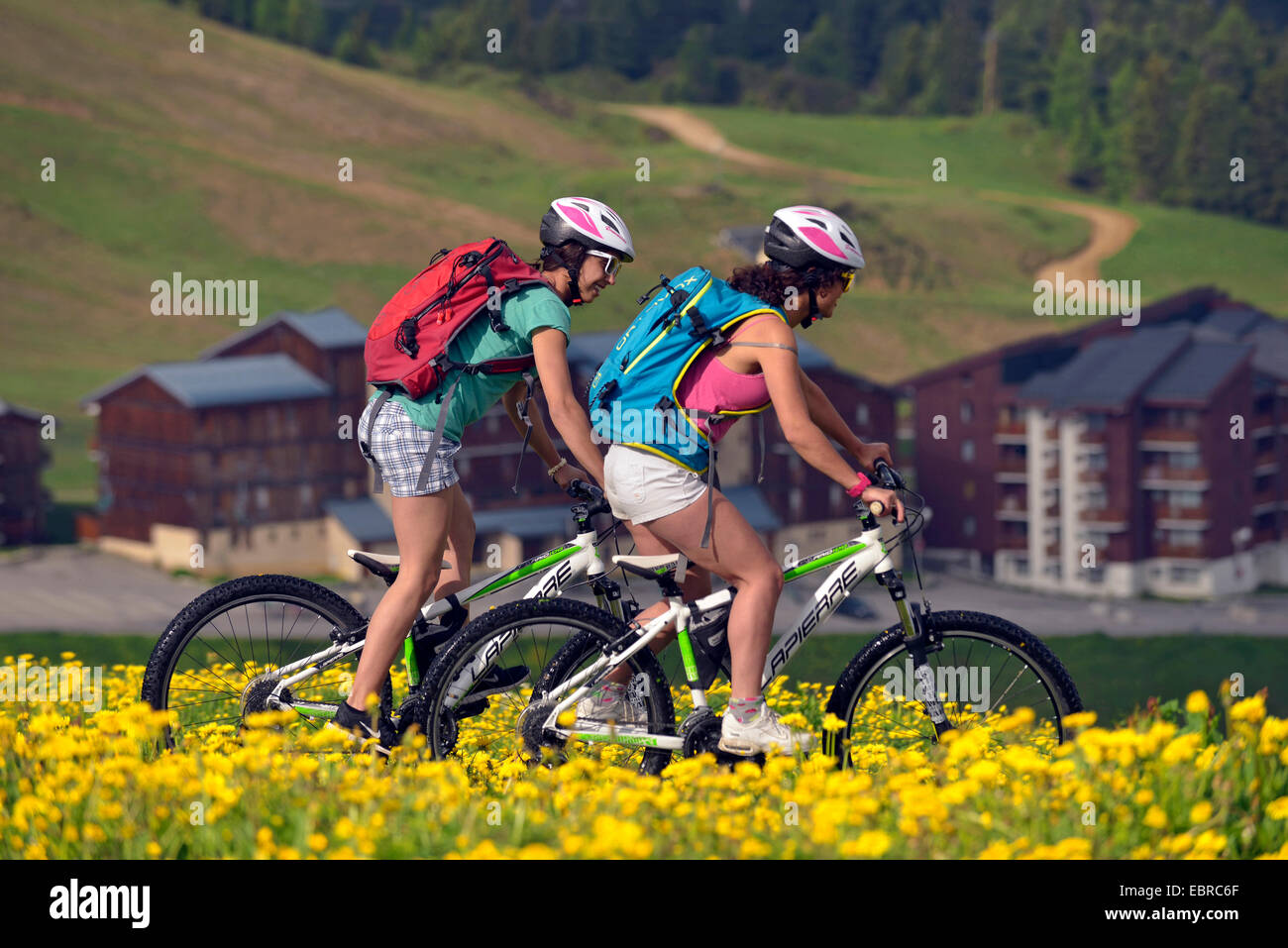 zwei Mountainbiker Radfahren durch eine Blumenwiese, Hotels im Hintergrund, Frankreich, Savoyen, La Plagne Stockfoto