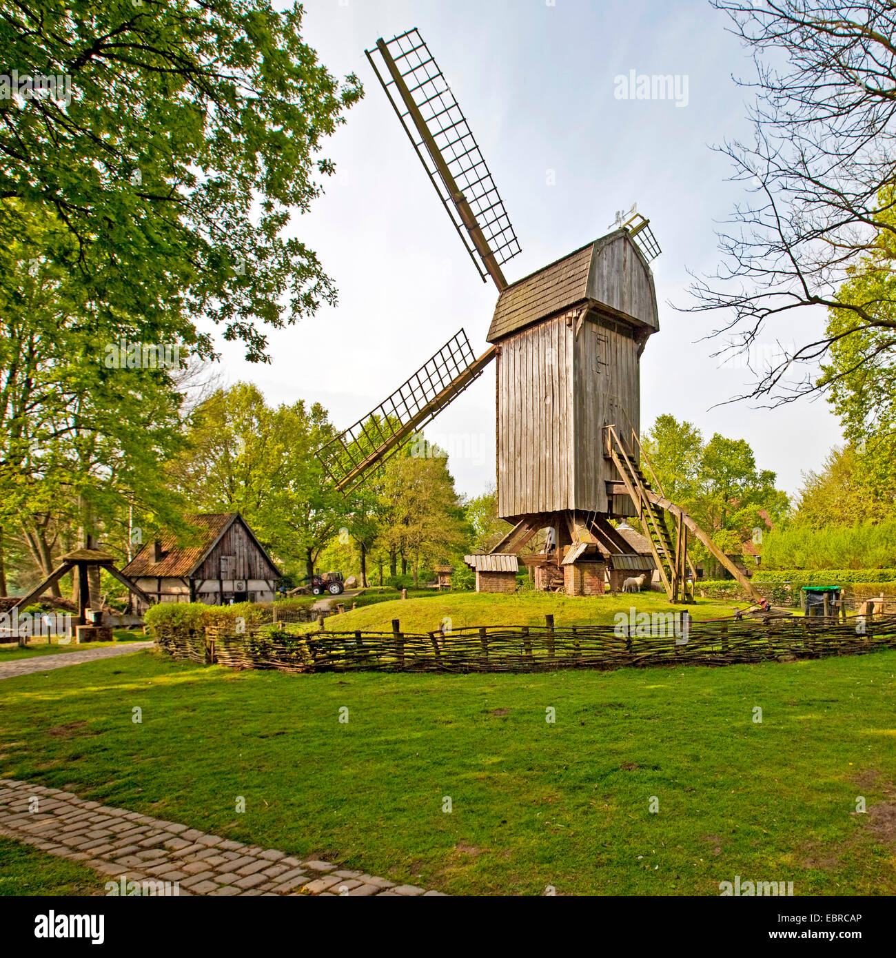 Bockwindmühle im Freilichtmuseum Muehlenhof, Münster, Münsterland, Nordrhein-Westfalen, Deutschland Stockfoto