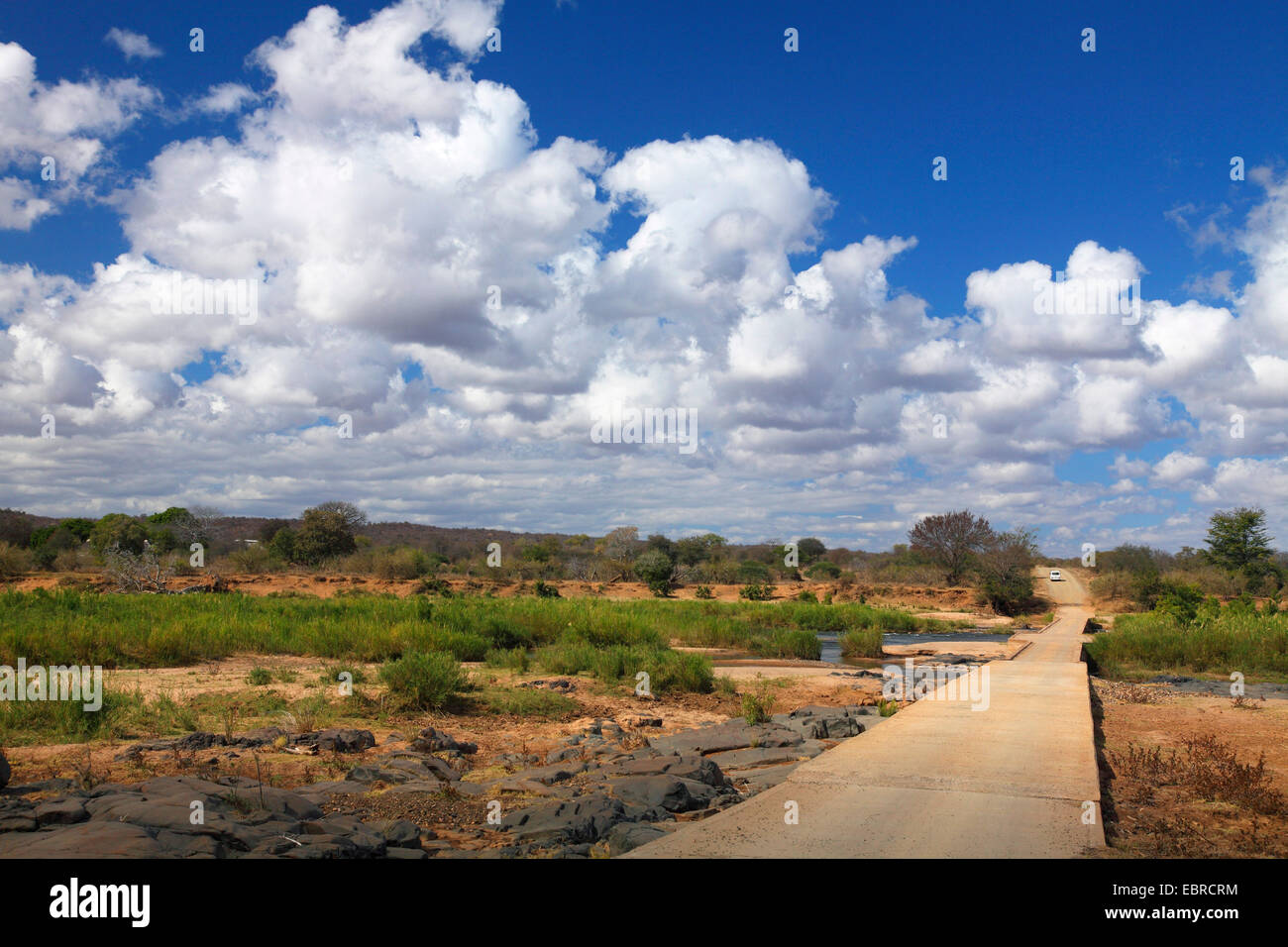 Fluss-Schwemmebene des Olifants River, South Africa, Krüger Nationalpark, Balule Stockfoto