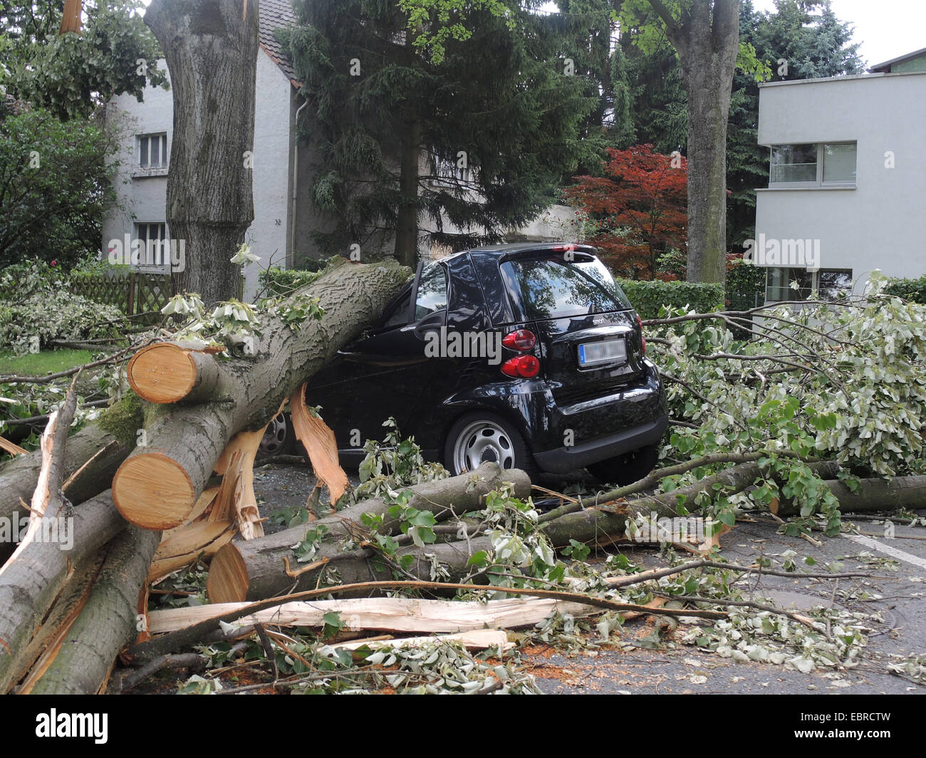 Baum gefallen am geparkten Auto, Schäden durch Sturmtief Ela am 09 / 06 / 2014, Deutschland, Nordrhein-Westfalen, Ruhrgebiet, Bochum Stockfoto