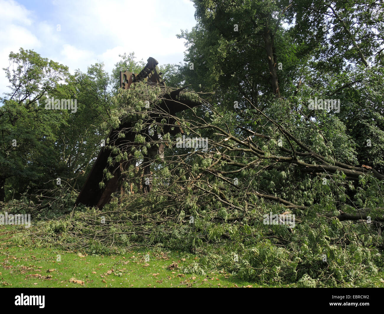 verwüstete Stadt Park Bochum durch umgestürzte Bäume und abgebrochene Äste, Sturmtief Ela am 2014-06-09, Bochum, Ruhrgebiet, Nordrhein-Westfalen, Deutschland Stockfoto