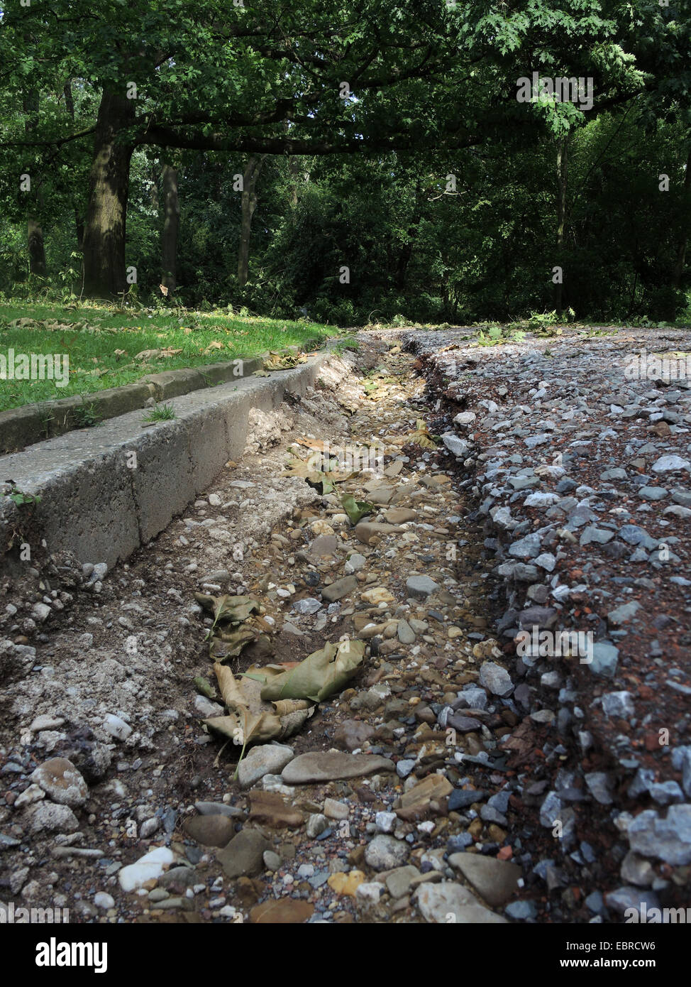 Erosion-Schlucht auf einem Pfad in der zerstörten Stadt Park Bochum durch umgestürzte Bäume Sturmtief Ela am 2014-06-09, Bochum, Ruhrgebiet, Nordrhein-Westfalen, Deutschland Stockfoto
