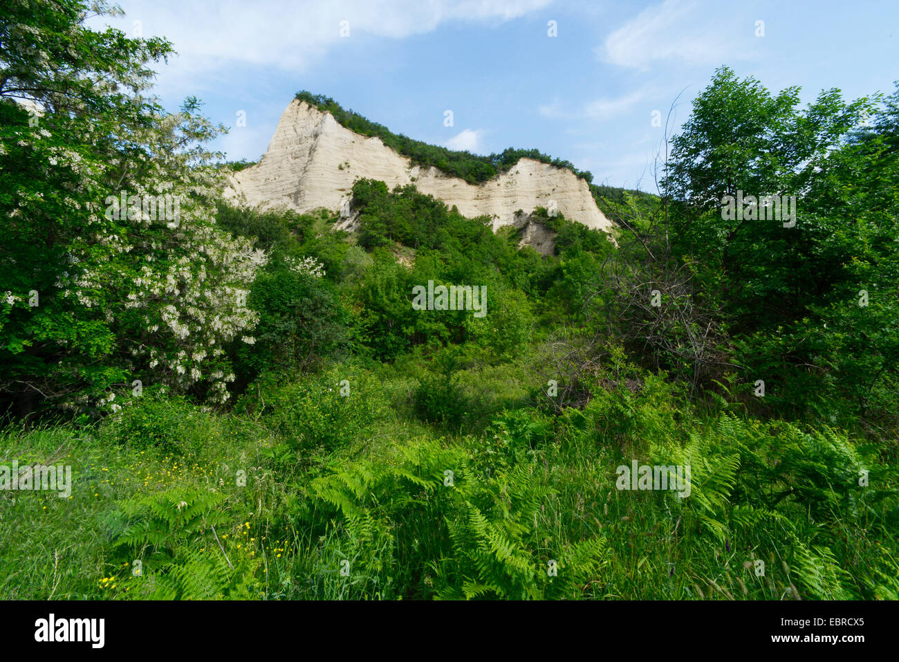 Sandstein-Pyramiden von Melnik, Bulgarien, Pirin-Gebirge, Melnik Stockfoto