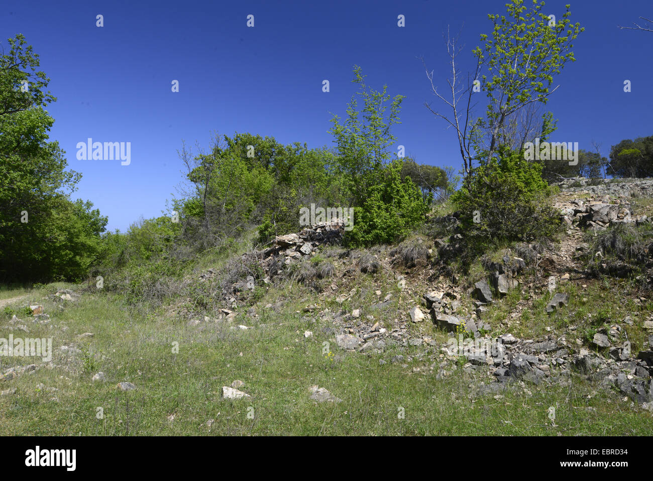 verlassenen Steinbruch, Bulgarien, Biosphaerenreservat Ropotamo Stockfoto