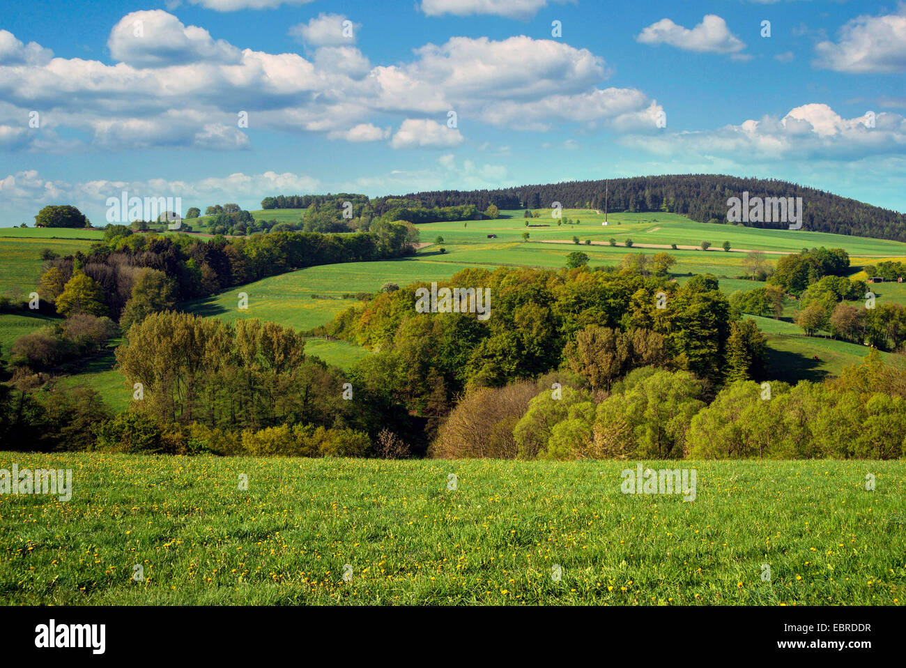 Landschaft in der Nähe von Diemelsee im Frühjahr, Hessen, Deutschland, Hessen, Hessisches Bergland Stockfoto