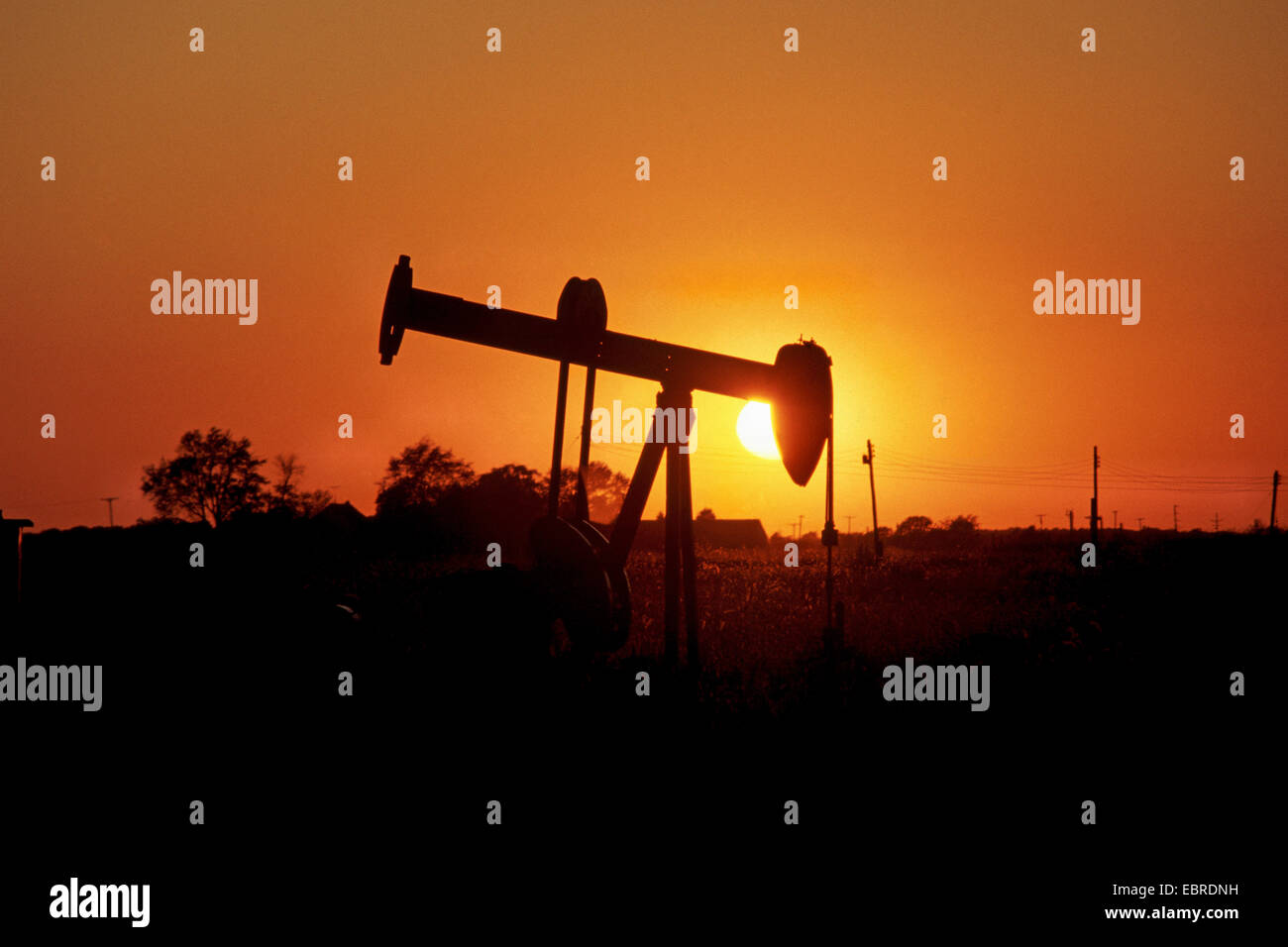 Bohrschwengels im Sonnenuntergang, USA, California Stockfoto