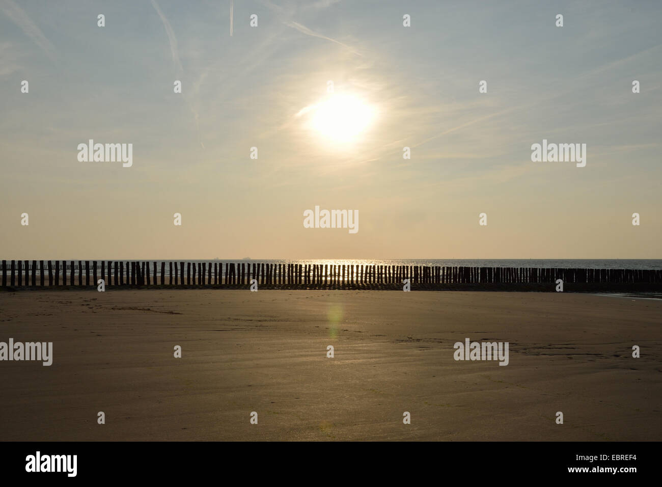 Strand und Buhne im Sonnenuntergang, Niederlande, Zeeland, Cadzand Stockfoto