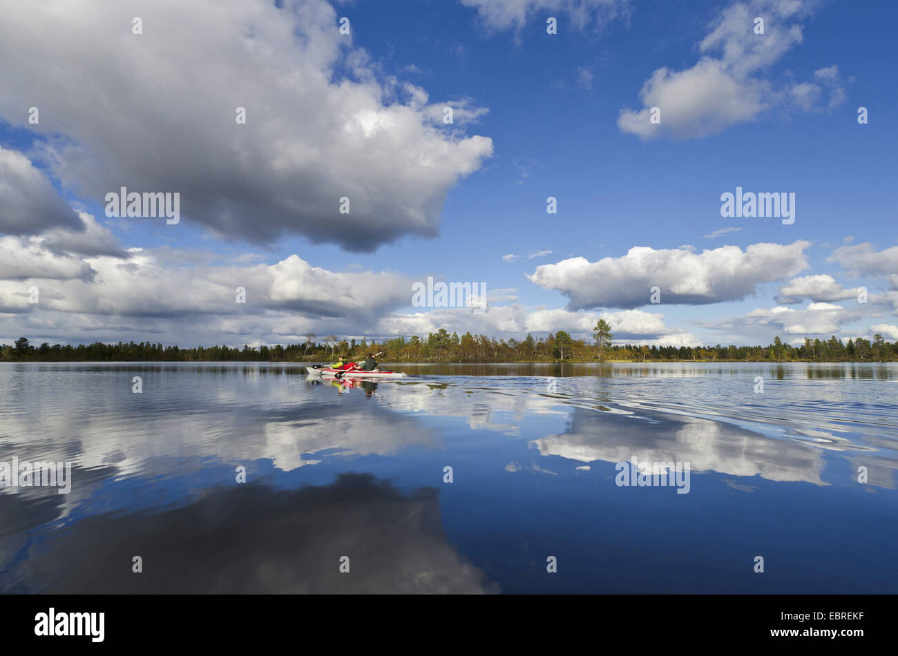 Kayak auf einem See, Schweden, Haerjedalen, Rogen Naturreservat Stockfoto