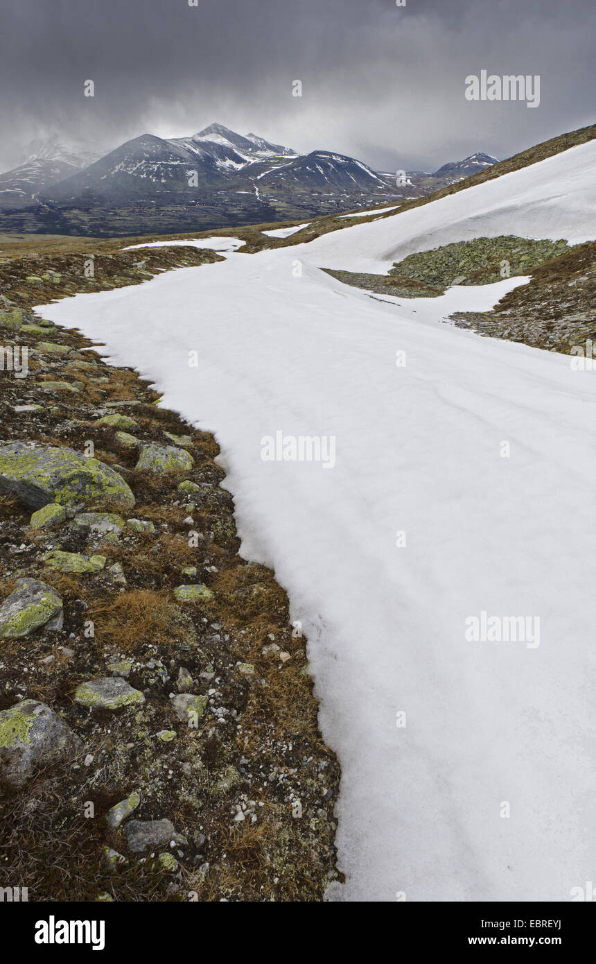 Schneegestöber in der Bergwelt des Rondane Nationalpark, Norwegen, Hedmark, Hedmark Fylke Rondane Nationalpark Stockfoto