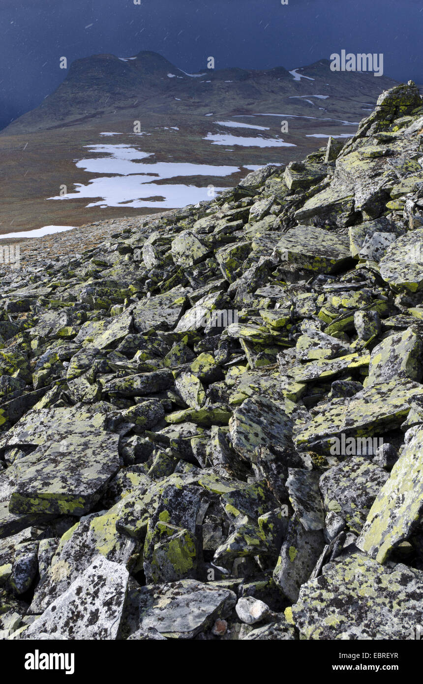 dunkle Wolken über Alvdal Vestfjell, Norwegen, Hedmark Fylke Stockfoto