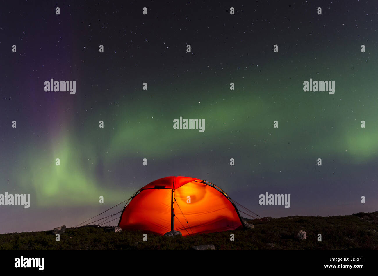 Nordlichter (Aurora Borealis) über ein beleuchtetes Zelt, Norwegen, Vestland, Län M° re og Romsdal Stockfoto
