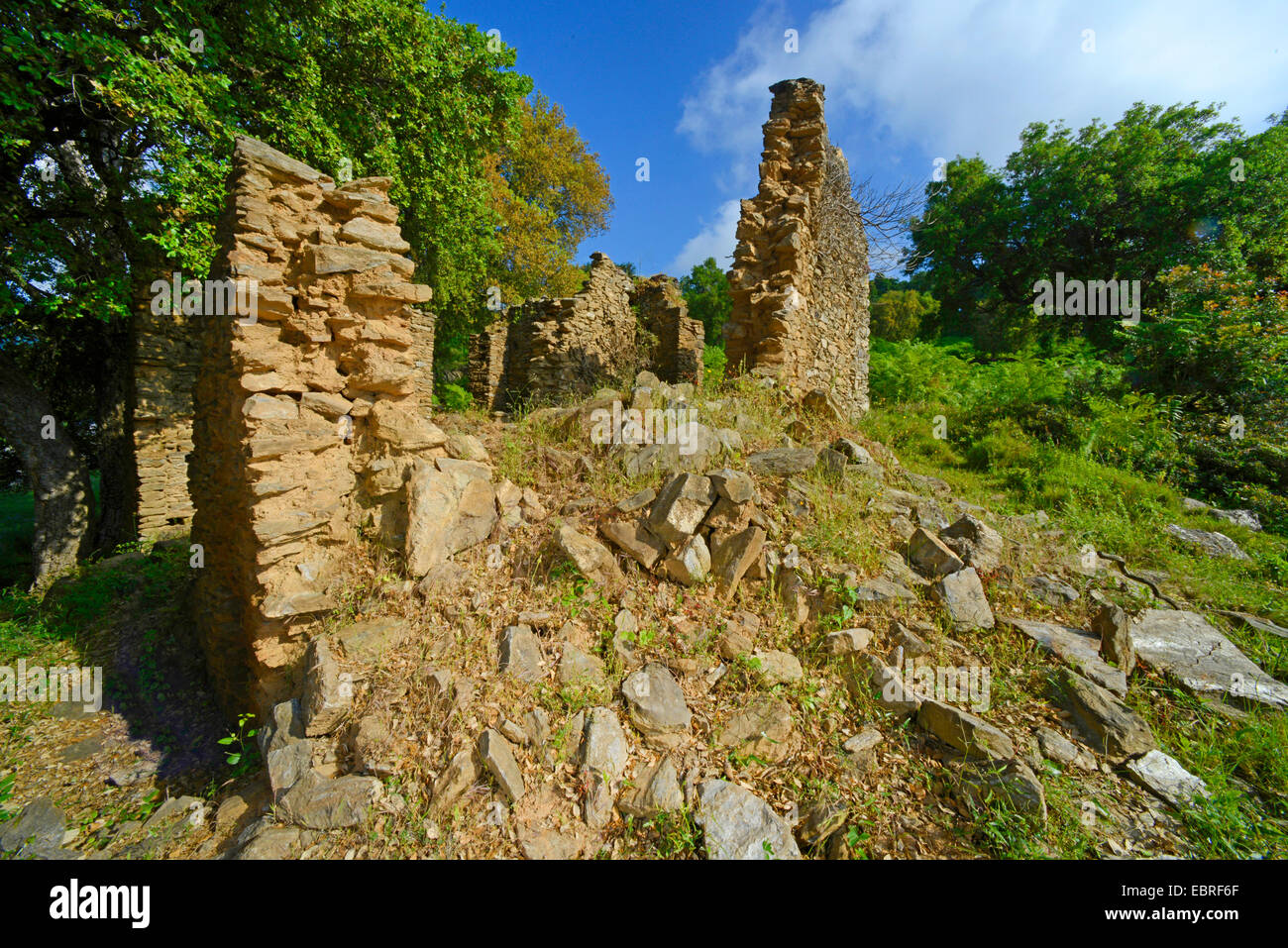 Ruine eines alten Gebäudes auf Korsika, Frankreich, Korsika Stockfoto