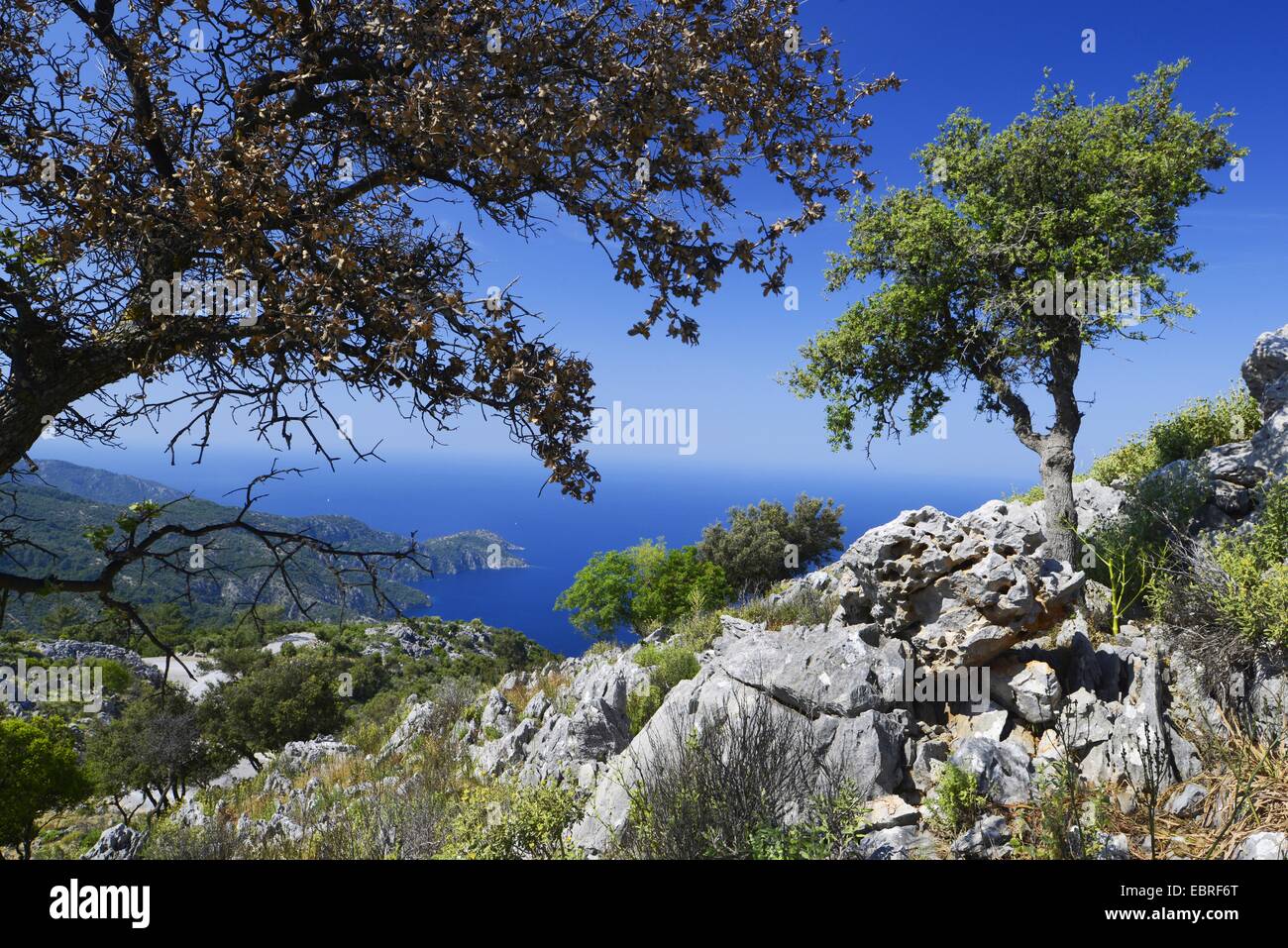 Felsformation an der türkischen Mittelmeerküste, Türkei, Lykien, Dalyan, Mugla Stockfoto