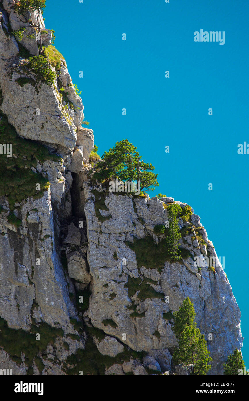 Felswand mit dem Vierwaldstättersee im Hintergrund, Schweiz Stockfoto