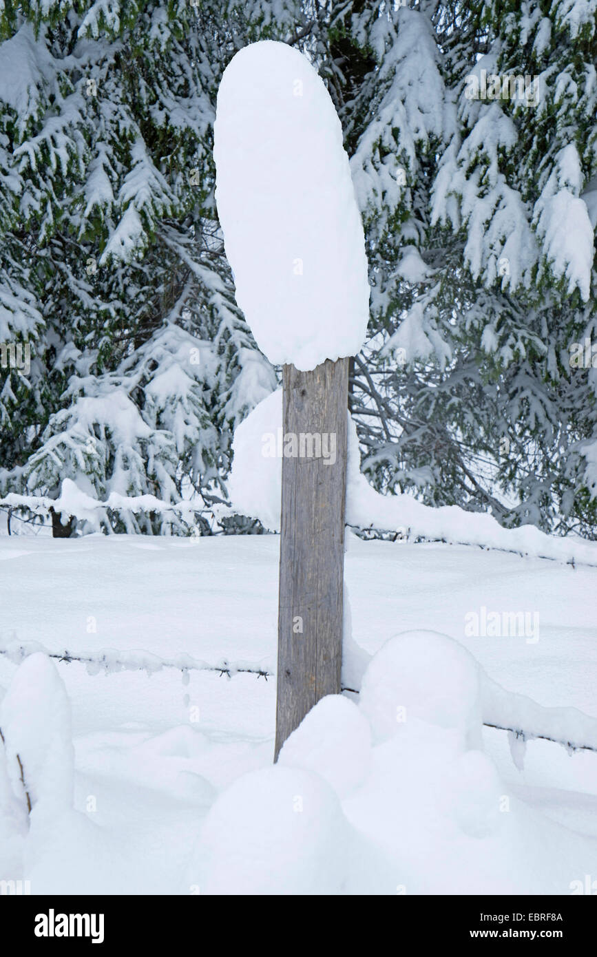 Schneekappe auf einem Zaun Pfosten, Oberbayern, Oberbayern, Bayern, Deutschland Stockfoto