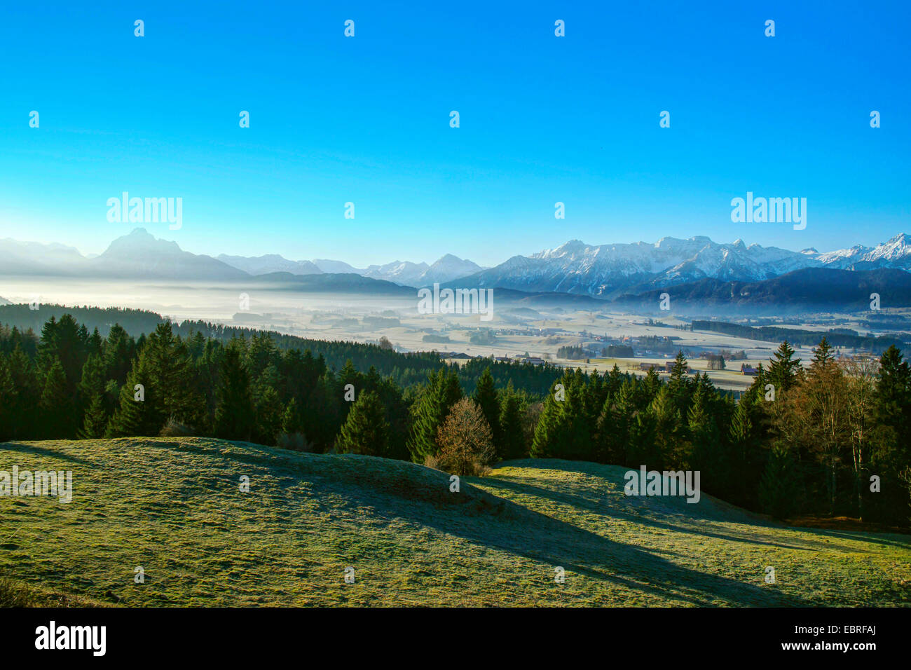 Morgen Nebel über die Ausläufer der Alpen rund um den Hopfensee, Blick vom Senkelekopf, Deutschland, Bayern, Oberbayern, Oberbayern, Ostallgaeu Stockfoto