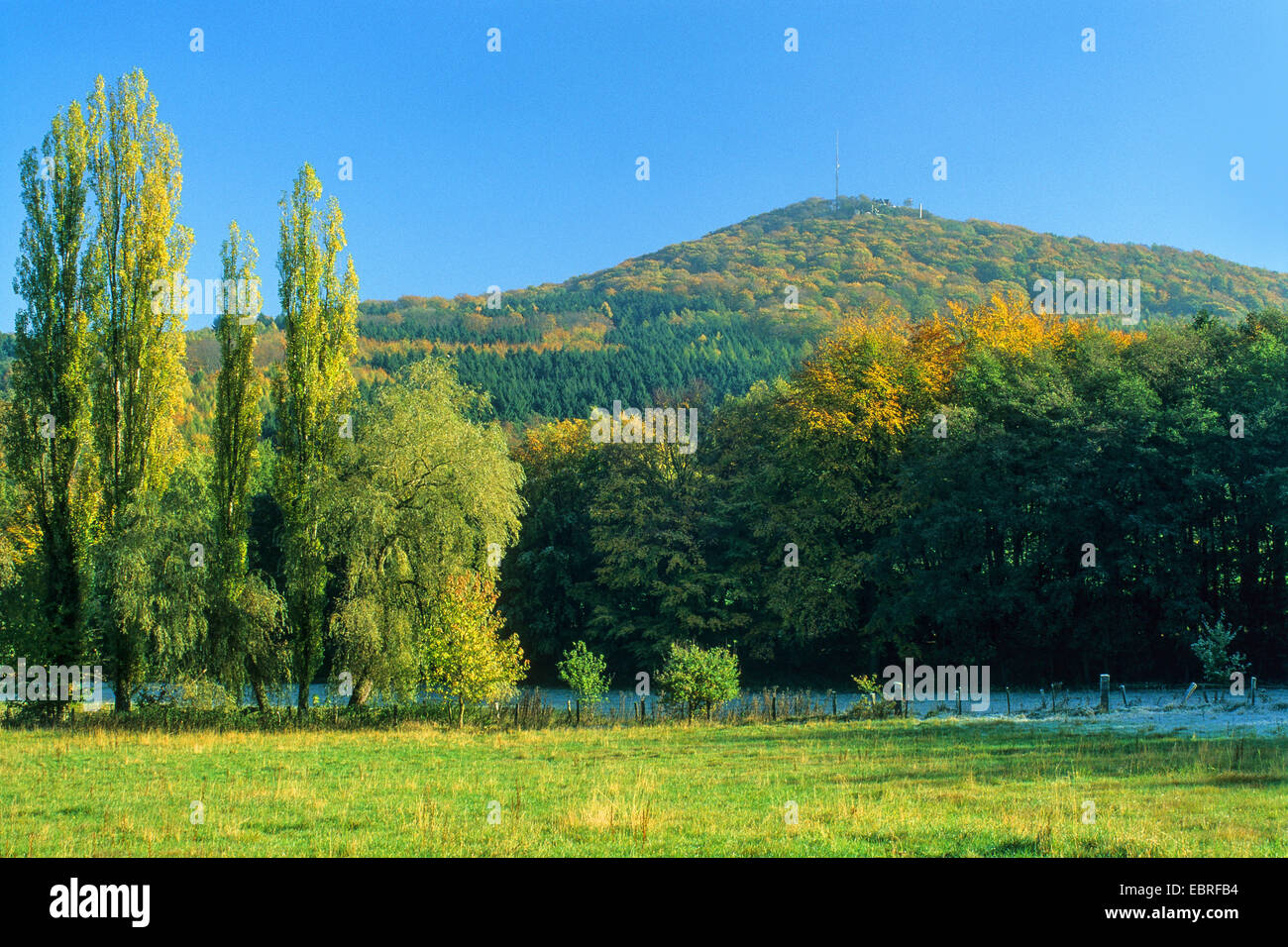 das Siebengebirge im Herbst Landschaft, Blick auf die gröberen Oelberg, Deutschland, Nordrhein-Westfalen, Siebengebirge Stockfoto