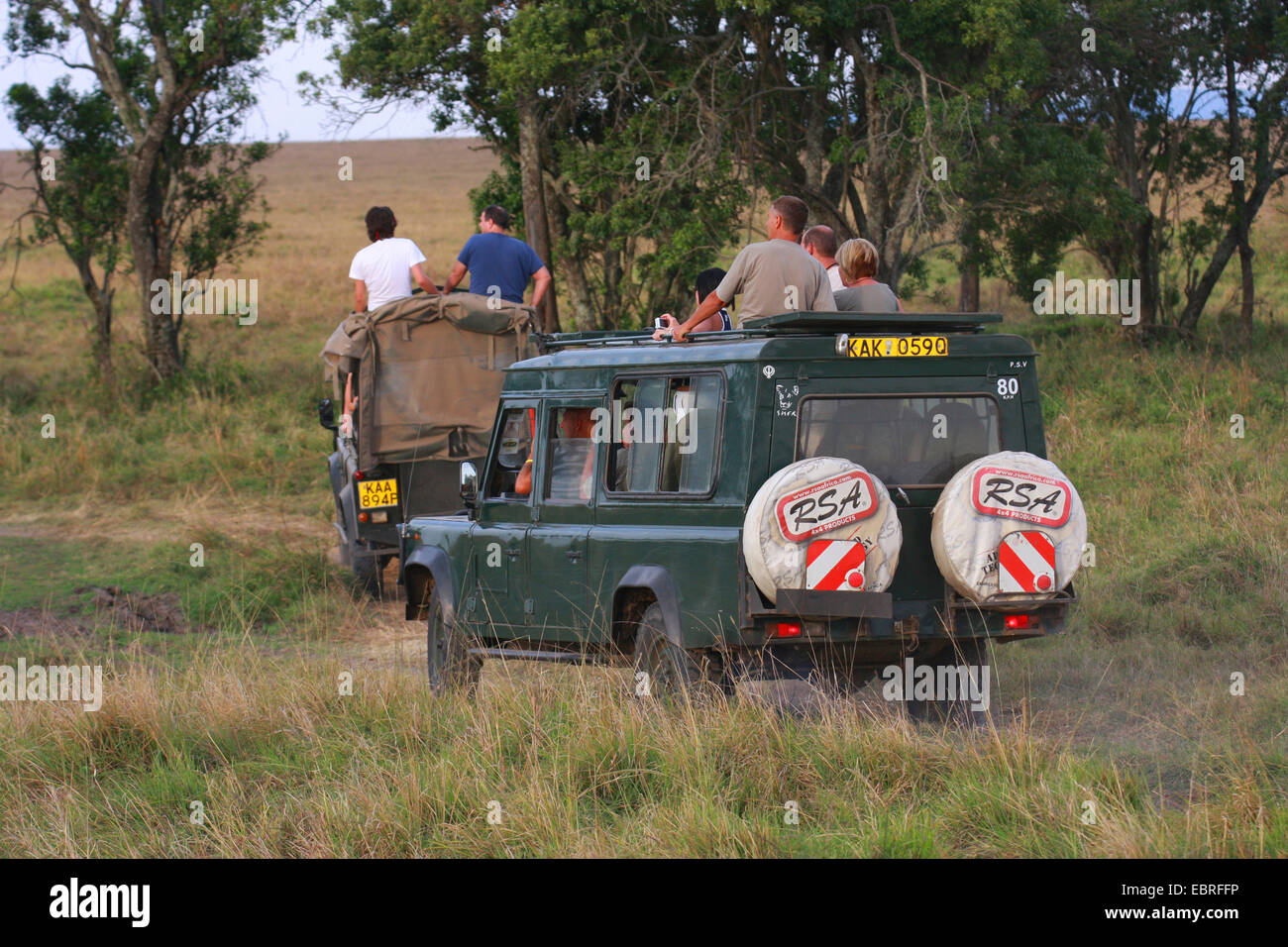 Safari-Tour in der Savanne, Kenia, Masai Mara Nationalpark Stockfoto