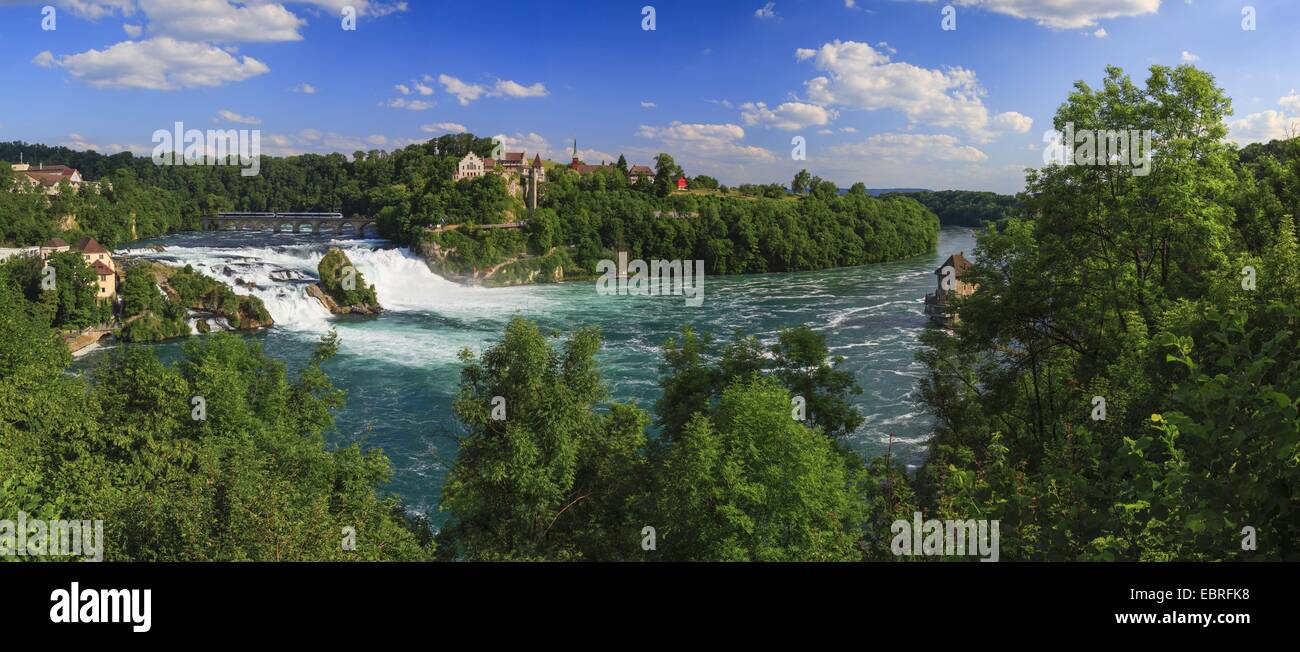 Rheinfall bei Schaffhausen mit Schloss Laufen, Schweiz, Schaffhausen Stockfoto