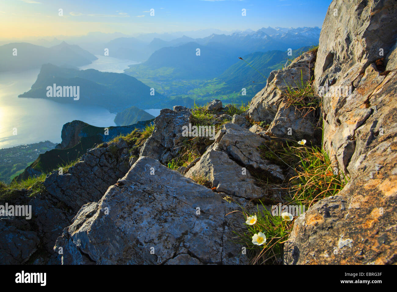 Vierwaldstättersee, Blick vom Pilatus, Schweiz, Vierwaldstättersee Stockfoto