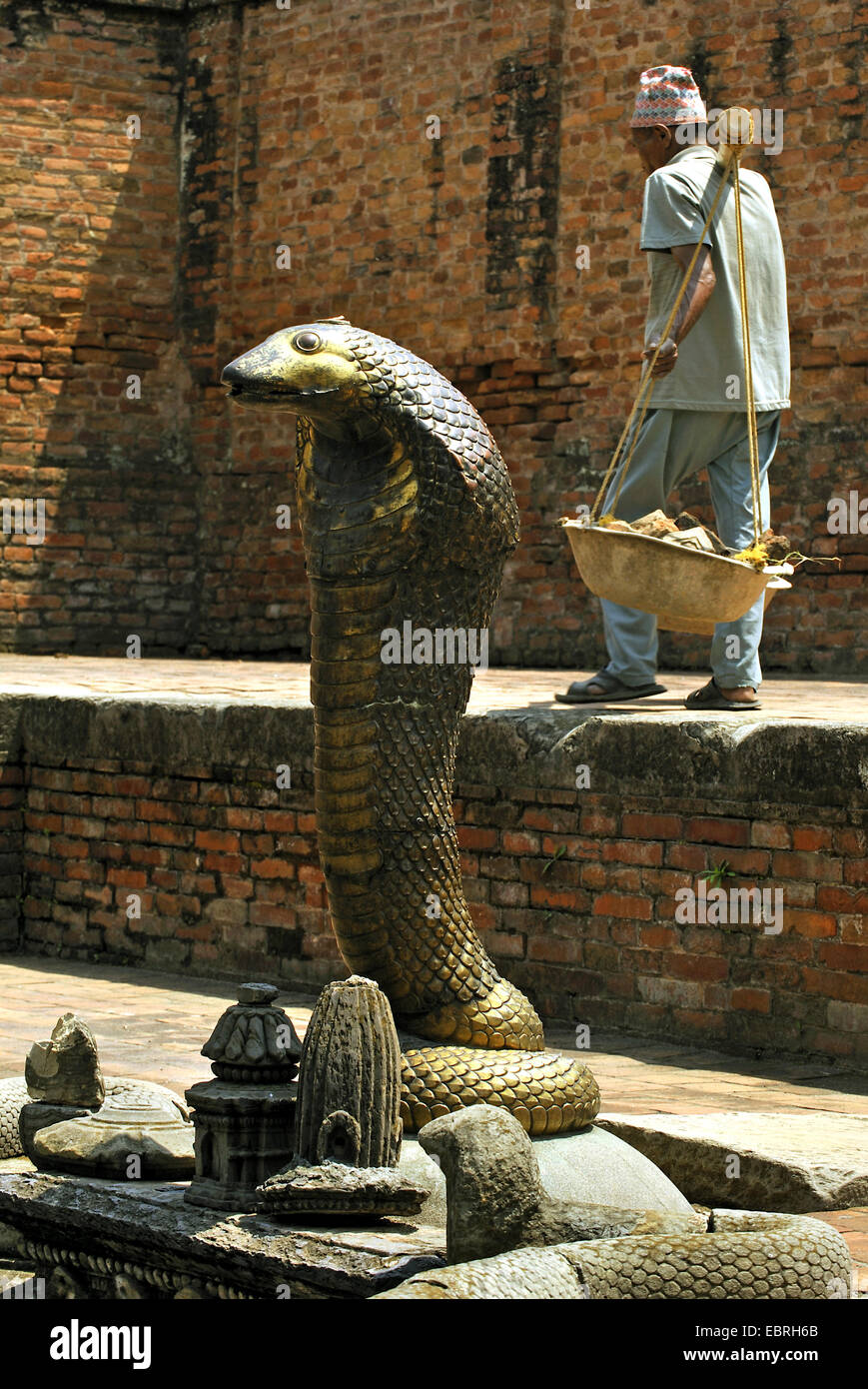 Kobras (Naja spec.), Steinskulptur einer Ausbaustufe Schlange in einem Tempel bei Durban Square, Nepal, Patan Stockfoto