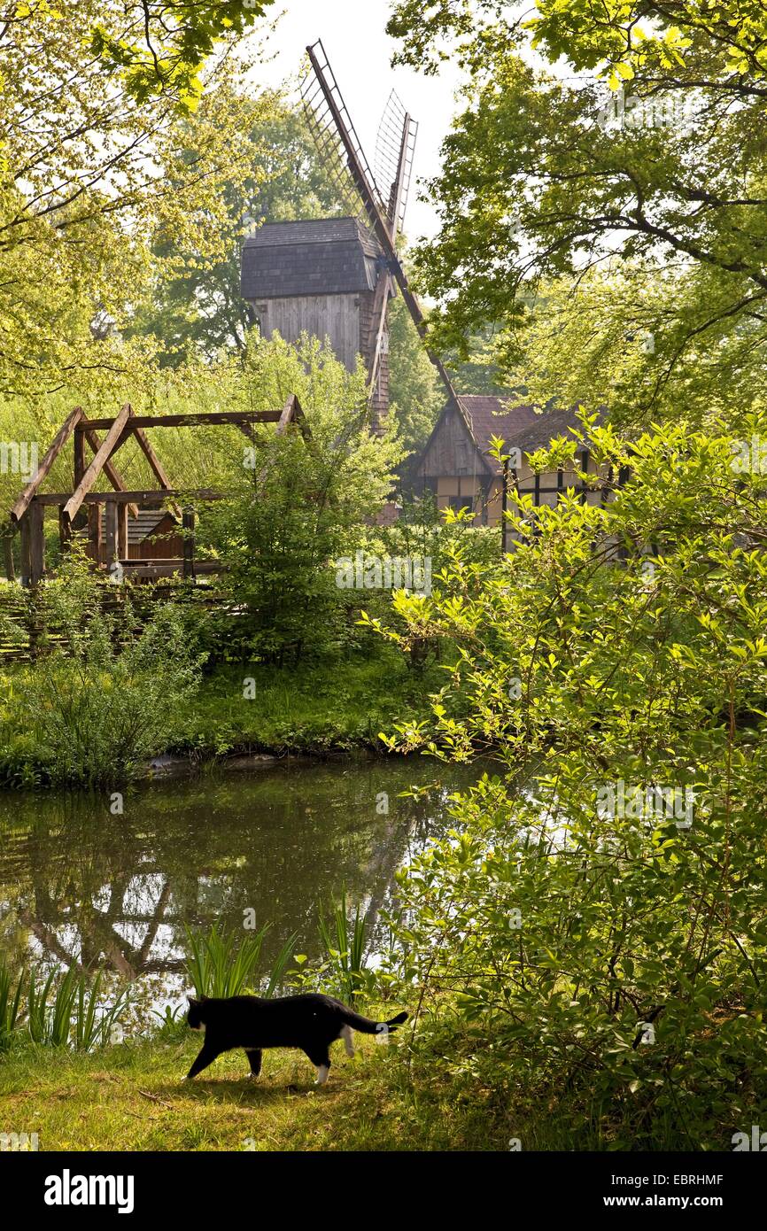 Post-Mühle bei der Wassergraben im Freilichtmuseum Muehlenhof, Europa, Deutschland, Nordrhein-Westfalen, Münsterland Stockfoto