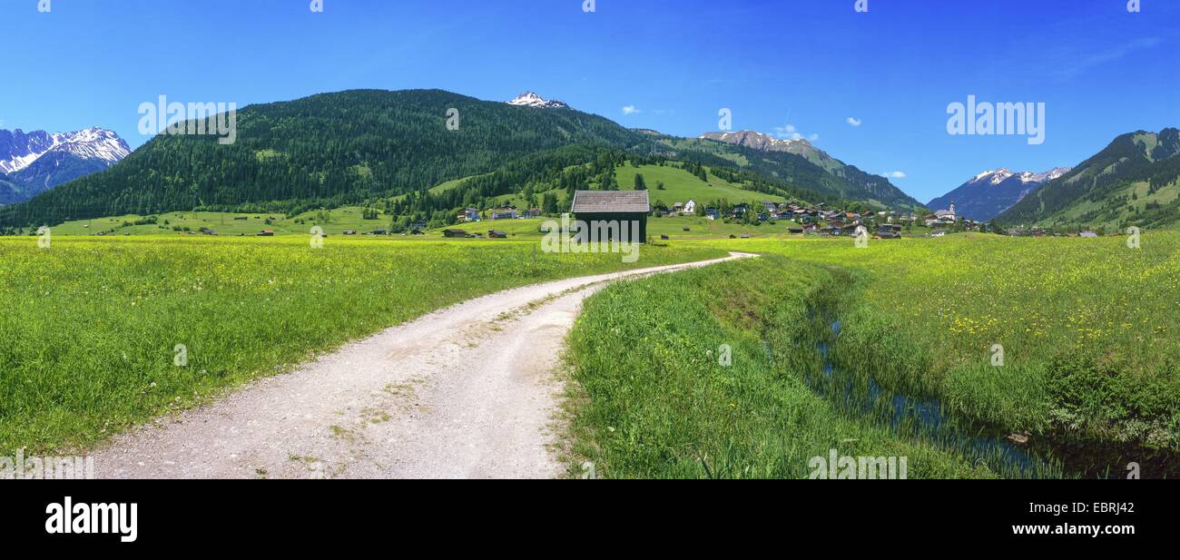 Landschaft mit blühenden Wiesen und Holzhütte im Frühjahr, Blick auf Lermoos und Grubigstein Gebiet, Österreich, Tyrol Stockfoto