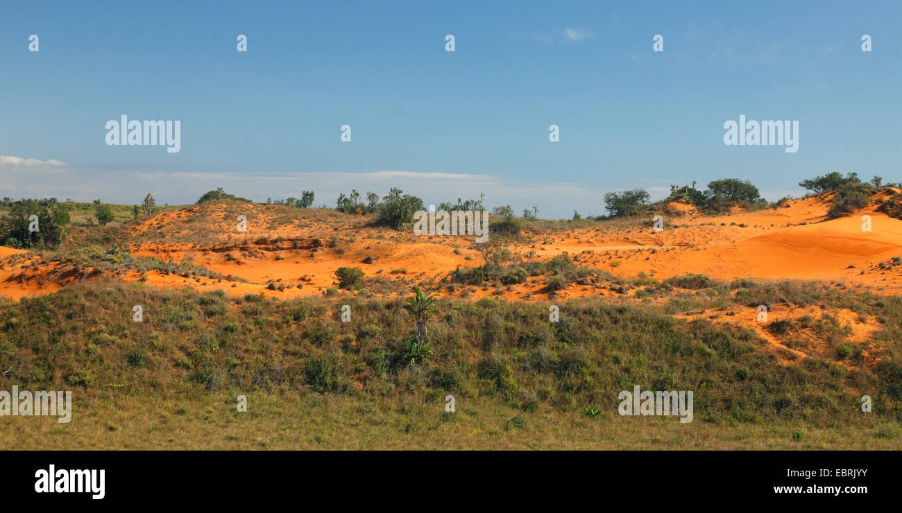 roten Dünen im iSimangaliso-Wetland-Park, Südafrika, St. Lucia Stockfoto
