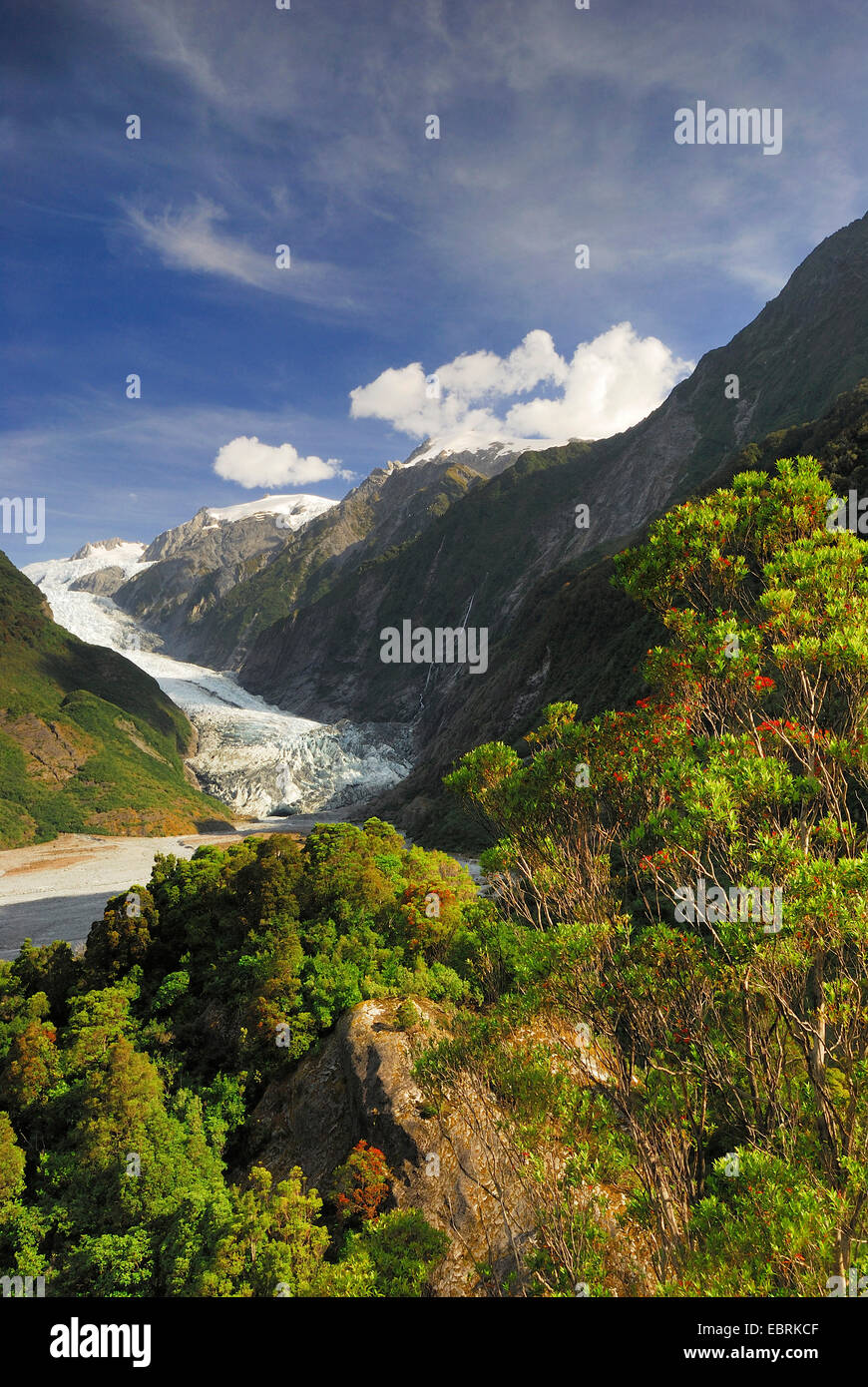 Panoramablick von der Sentinel Rock zum Franz Josef Gletscher in Neuseeland Südinsel, Westland National Park Stockfoto