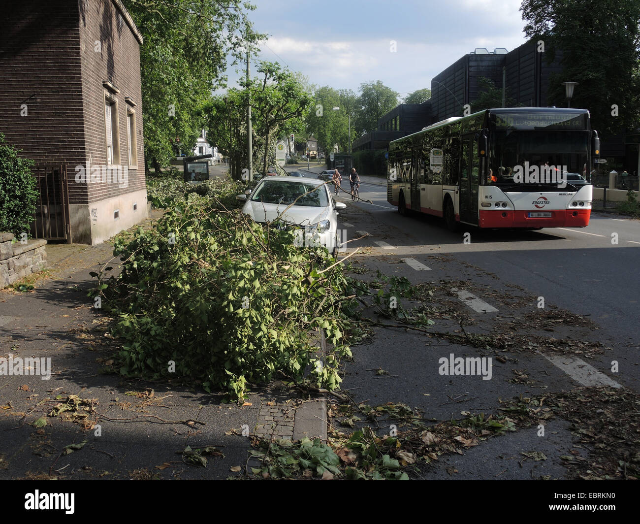 Straße nach Sturmtief Ela am 2014-06-09, Bochum, Ruhrgebiet, Nordrhein-Westfalen, Deutschland Stockfoto