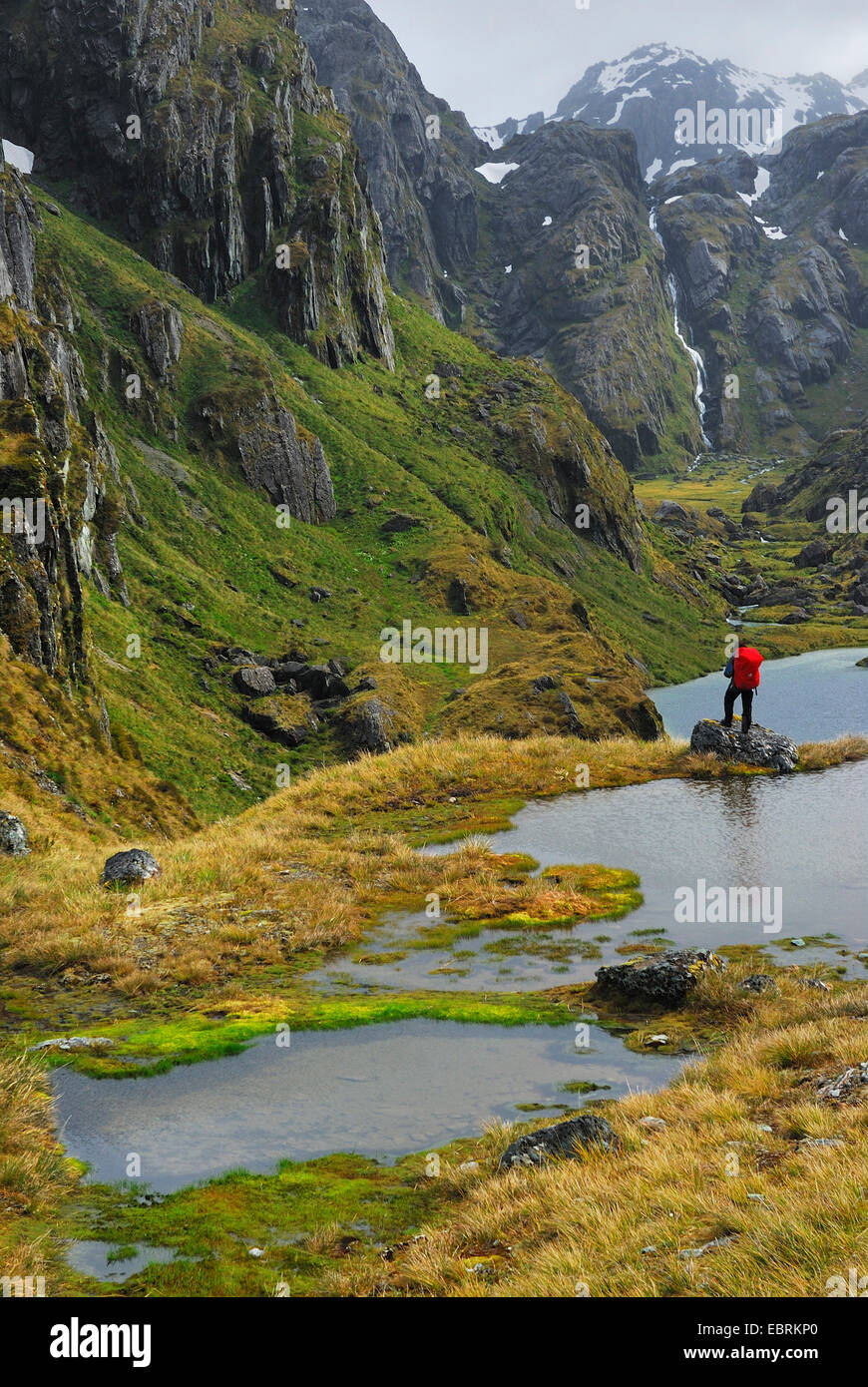 Wanderer am Lake Harris, Harris Saddle, Routeburn Track, Humboldt Berge, New Zealand, Southern Island, Mount Aspiring National Park Stockfoto