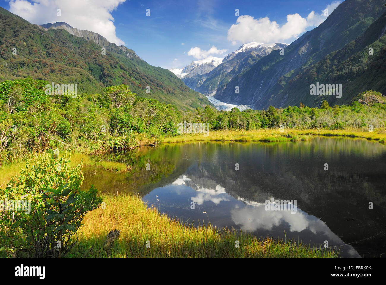 Panoramablick vom Peters-Pool in den Südalpen mit Franz Josef Glacier, Neuseeland, Südinsel, Westland National Park Stockfoto