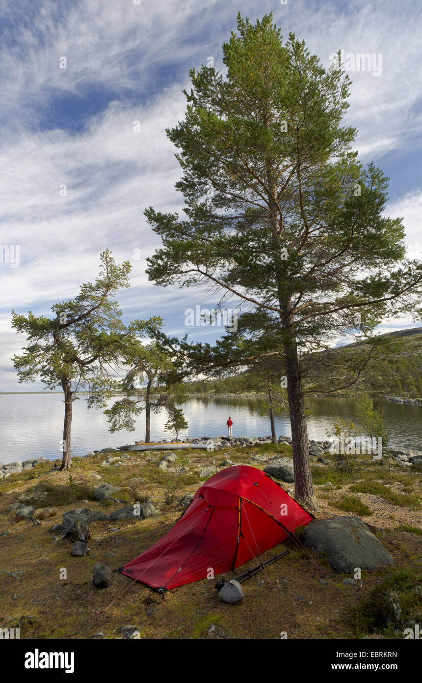 Camping in Schweden, Haerjedalen, Rogen Naturreservat Rogen Seeufer Stockfoto