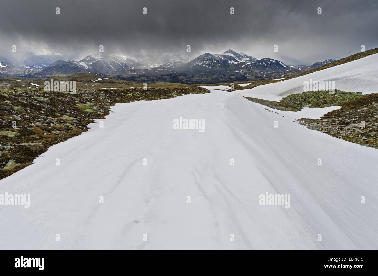 Schneegestöber in der Bergwelt des Rondane Nationalpark, Norwegen, Hedmark, Hedmark Fylke Rondane Nationalpark Stockfoto