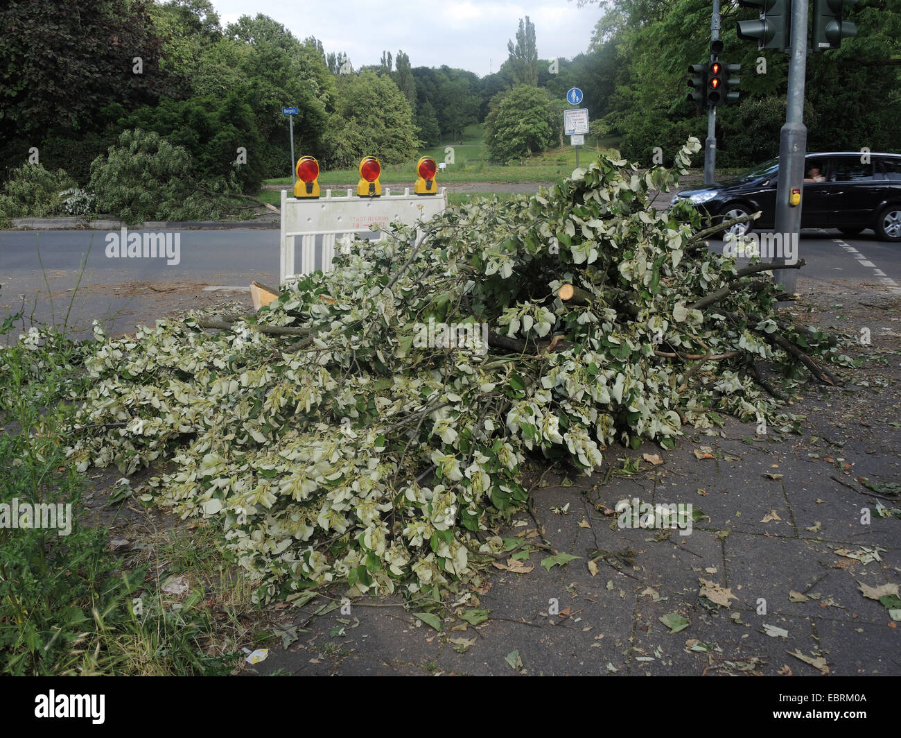 Straße nach Sturmtief Ela am 2014-06-09, Bochum, Ruhrgebiet, Nordrhein-Westfalen, Deutschland Stockfoto