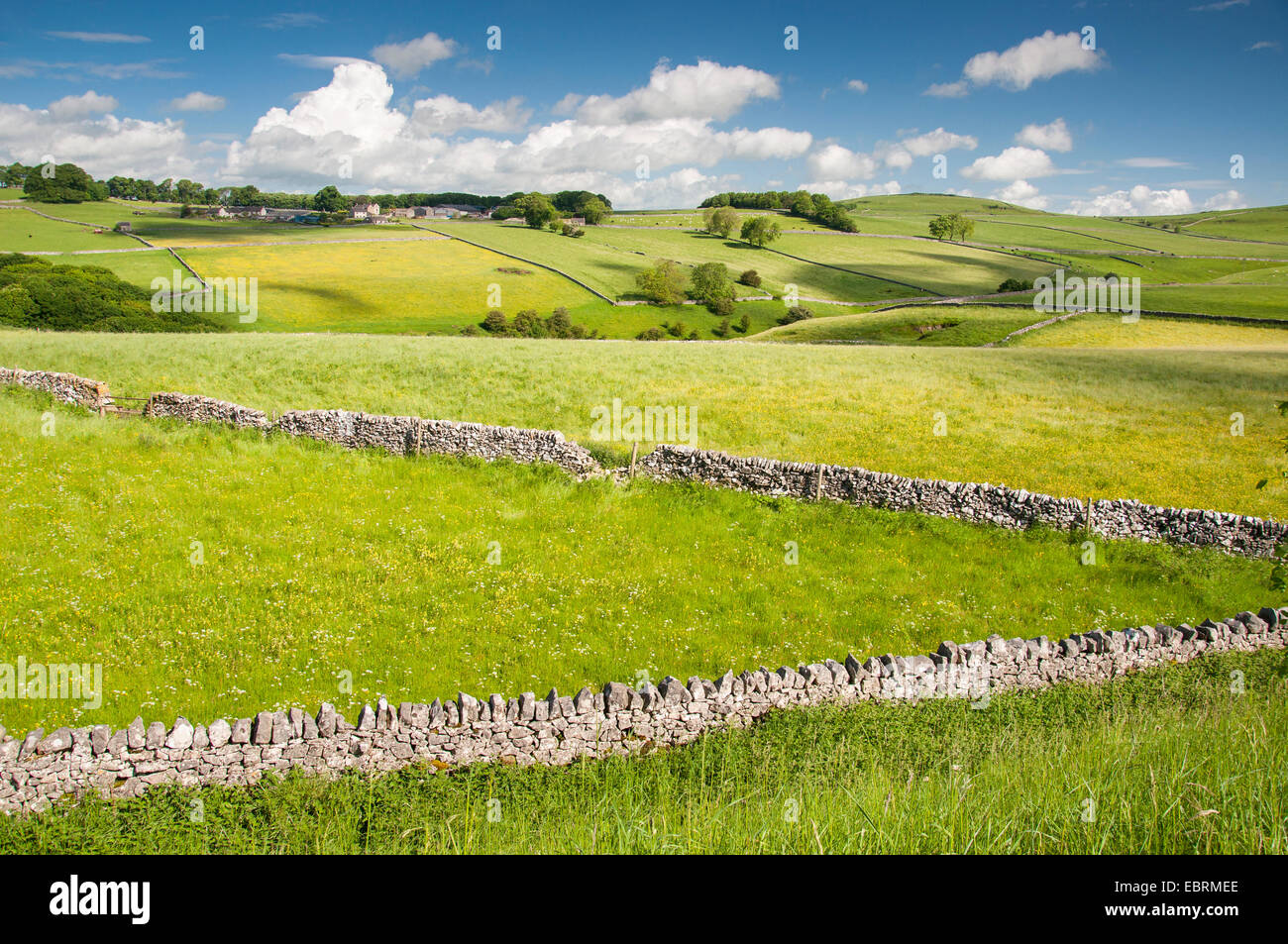 Kalkstein Mauern Criss überqueren einer englischen Sommerlandschaft im Peak District. Sommerwiesen und Blick über grüne Felder. Stockfoto