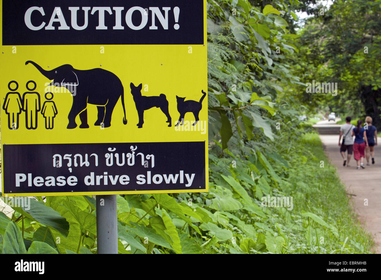 Asiatischer Elefant, Asiatischer Elefant (Elephas Maximus), Straße Zeichen "langsam fahren", Thailand, Elephant Nature Park, Chiang Mai Stockfoto