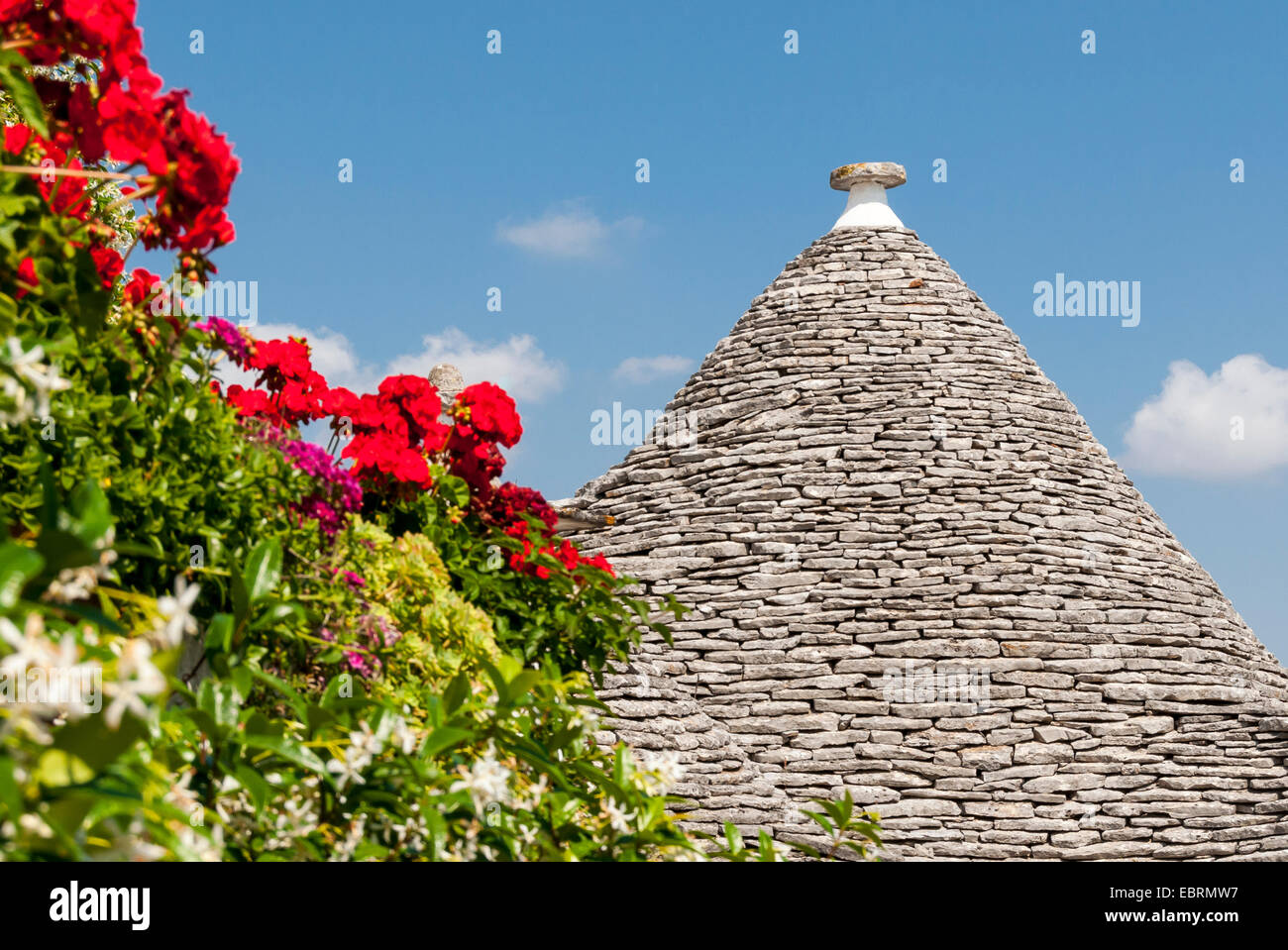 Trullo Kegeldach mit Blumen, Alberobello Trulli Bezirk, Apulien, Italien Stockfoto