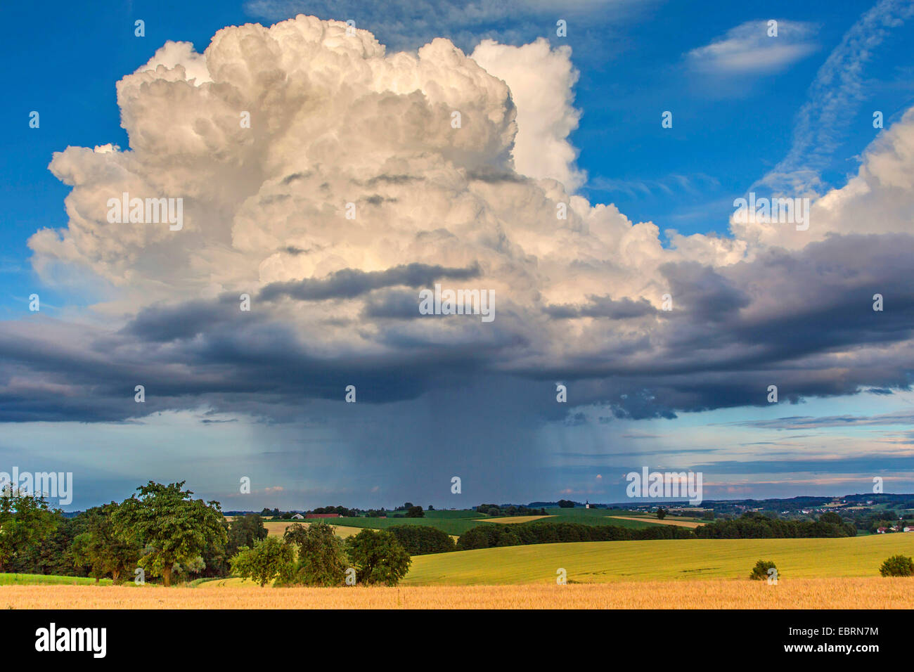 Platzregen, Cumulus Congestus Praecipitatio, Deutschland, Bayern, Isental Stockfoto