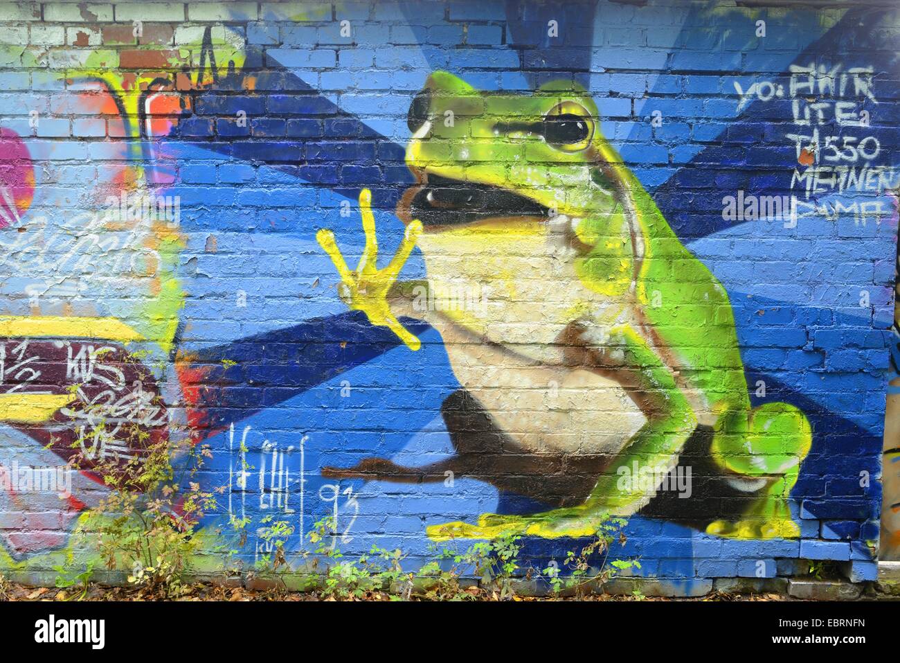 Frosch als ein Graffiti auf eine Mauer, Deutschland, Bayern Stockfoto