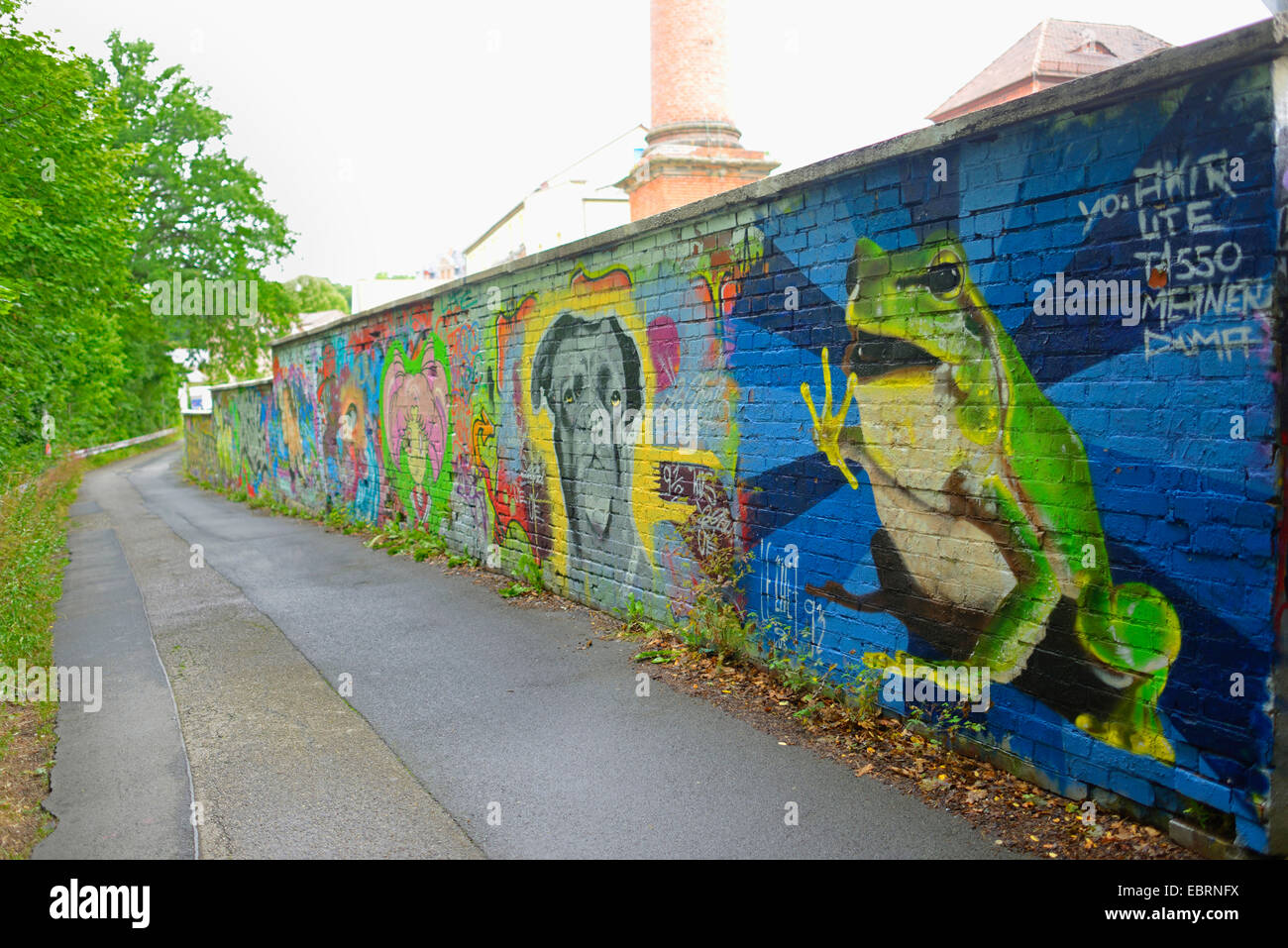 Frosch als ein Graffiti auf eine Mauer, Deutschland, Bayern, Stein Stockfoto