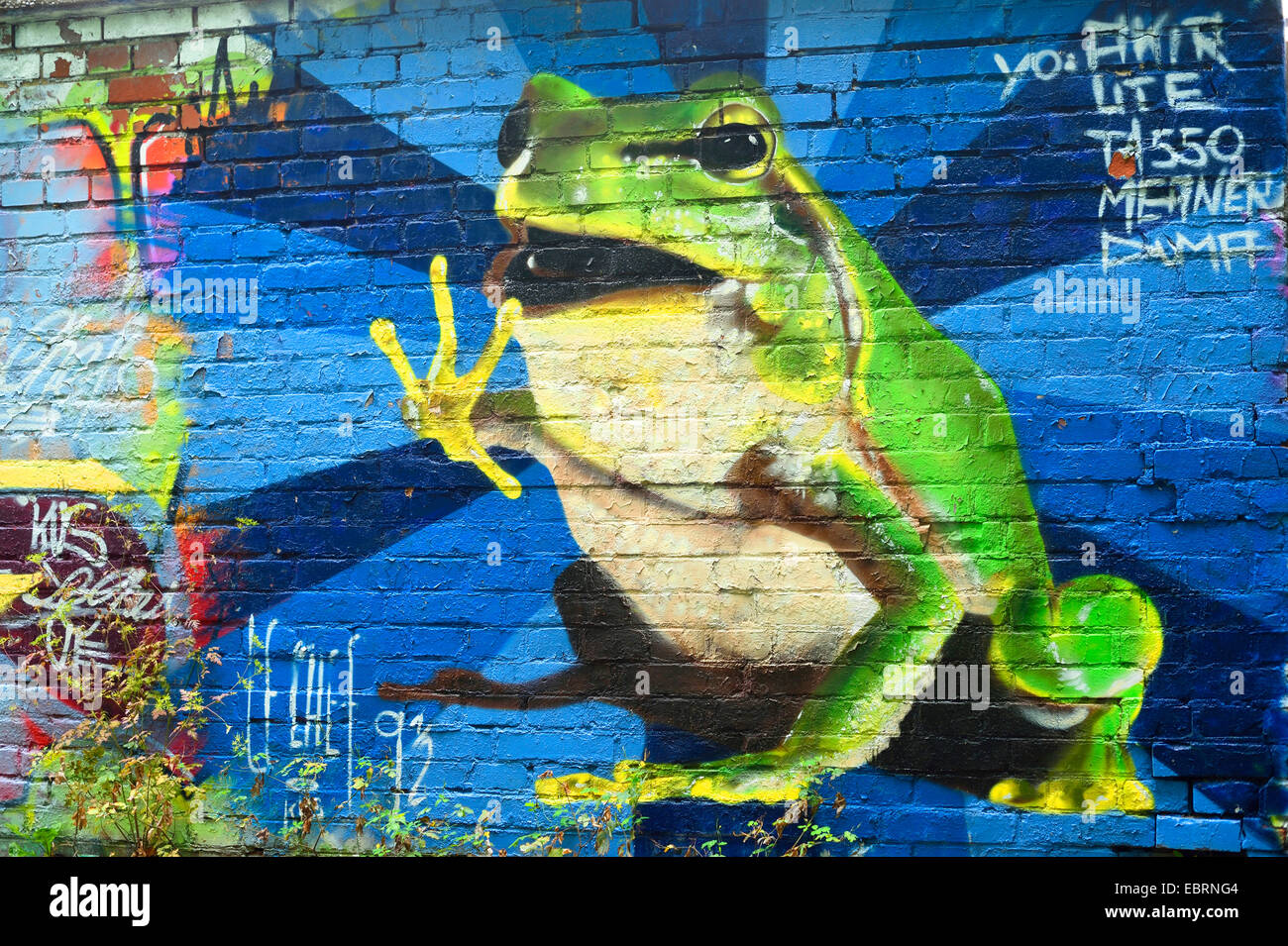 Frosch als ein Graffiti auf eine Mauer, Deutschland, Bayern, Stein Stockfoto